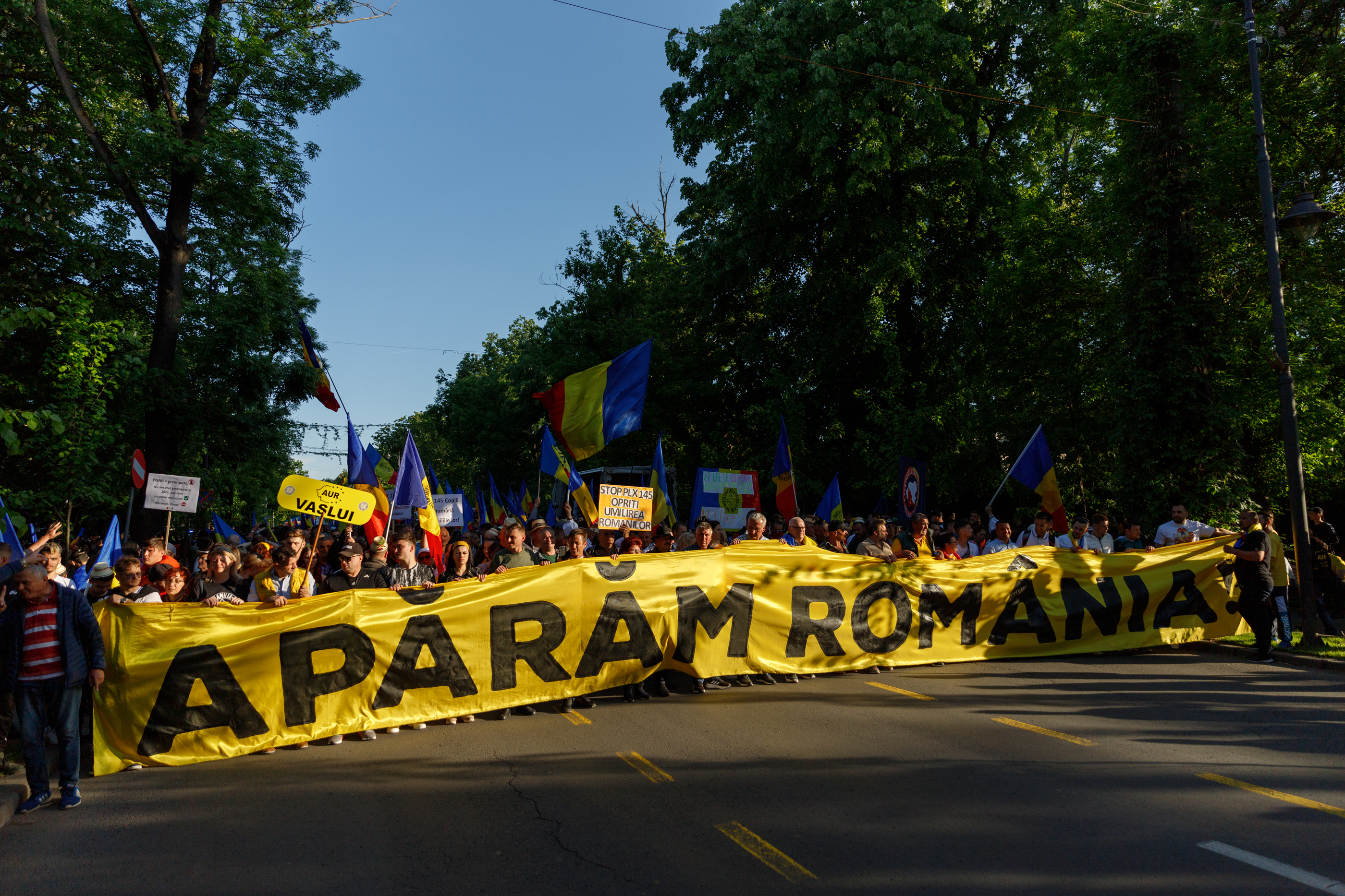 REPORTAJ. Am mers patru ore alături de protestatarii AUR. Ce i-a motivat să vină de la sute de km distanță la chemarea singurului lider de partid din România care e pomenit de susținători pe numele mic: „George”