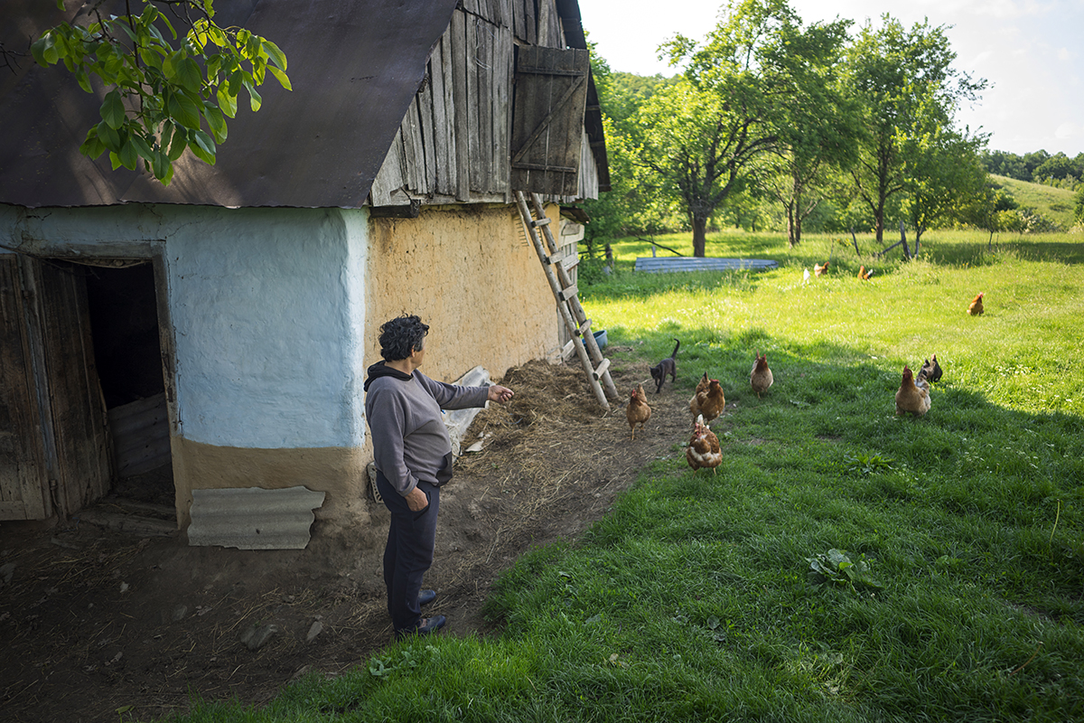 Izolate și când nu e pandemie, ultimele cinci familii din cătunul Marca Huta trăiesc rupte de civilizație, cu ce le dau pământul și animalele. “Suntem săraci, dar trăim bine! La ce să coborâm în vale?”