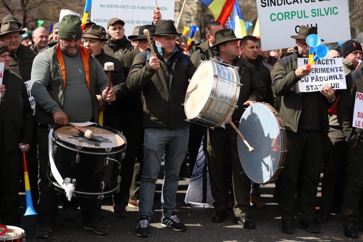 Silvicultorii protestează la București față de tăierea salariilor și amenință cu greva generală