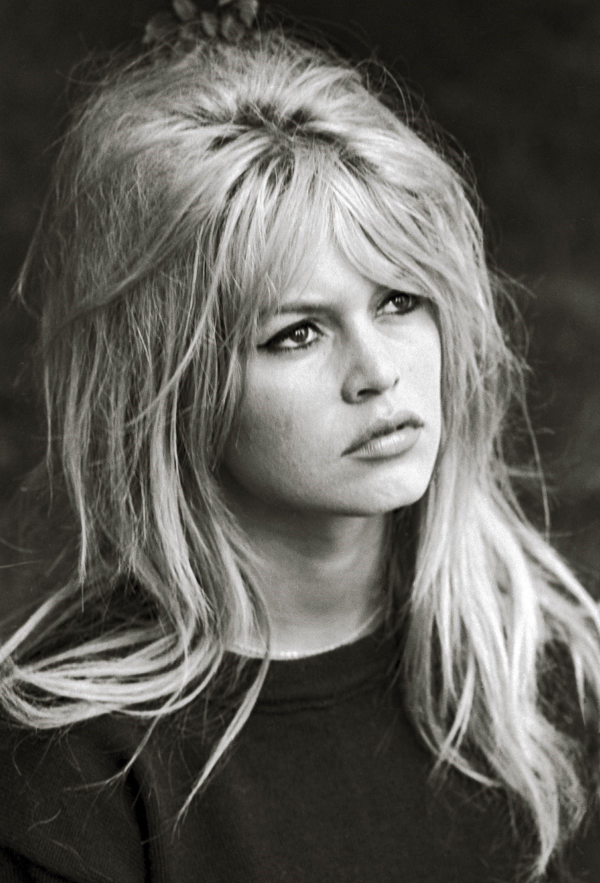 Secretul pe care Brigitte Bardot i l-a dezvăluit actriței Carmen Tănase: „M-a făcut să nu mai mănânc carne șapte ani”. Detalii inedite despre întâlnirea celor două actrițe