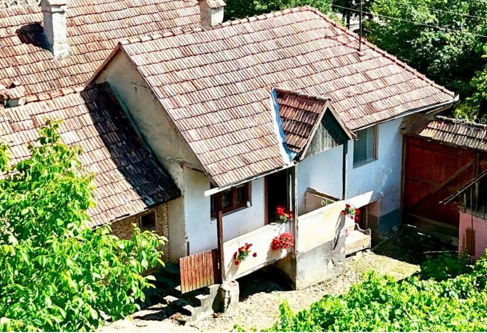„Aici, timpul are un ritm diferit”. Cât costă o casă din Mureș păstrată ca la Muzeul Satului?