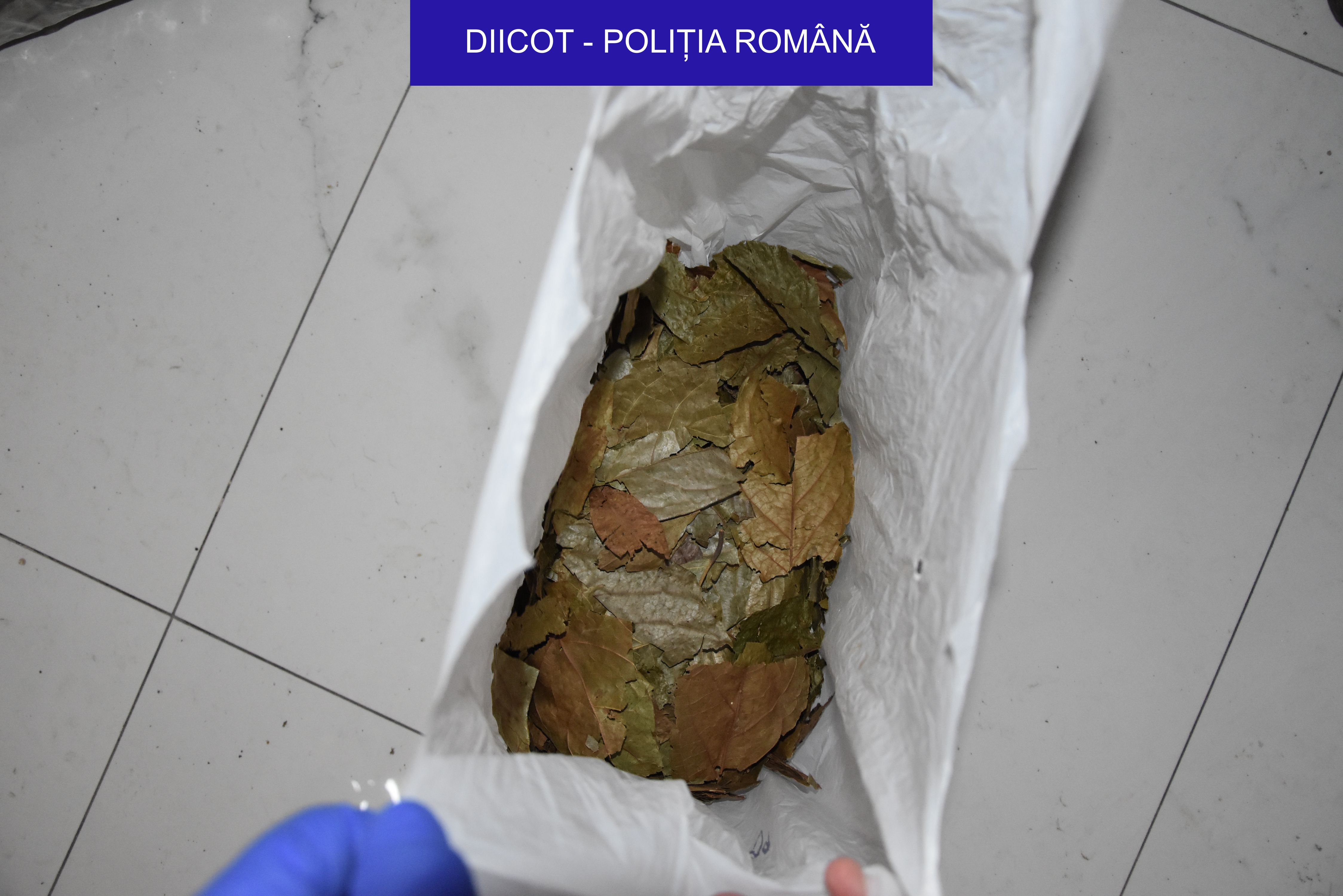 DIICOT a dat detalii din dosarul fostului șef  DGIPI. Gelu Oltean tăia bilete la ceremoniile șamanice cu droguri de mare risc, pe care le organiza în Răcari