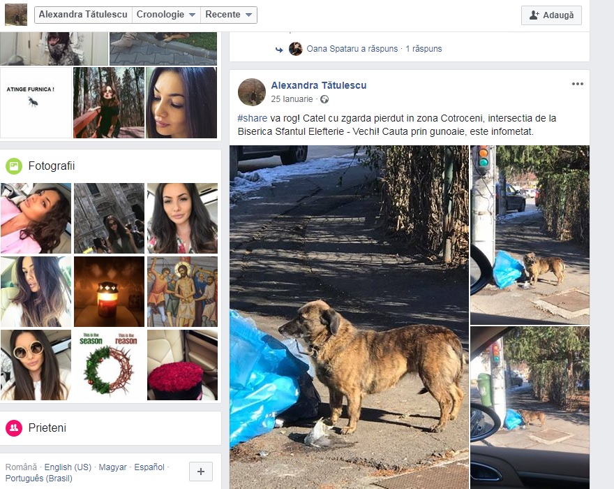 Cine este nora lui Liviu Dragnea. Soția lui Valentin Dragnea, Gina Alexandra Tătulescu, a concurat la Miss Universe România