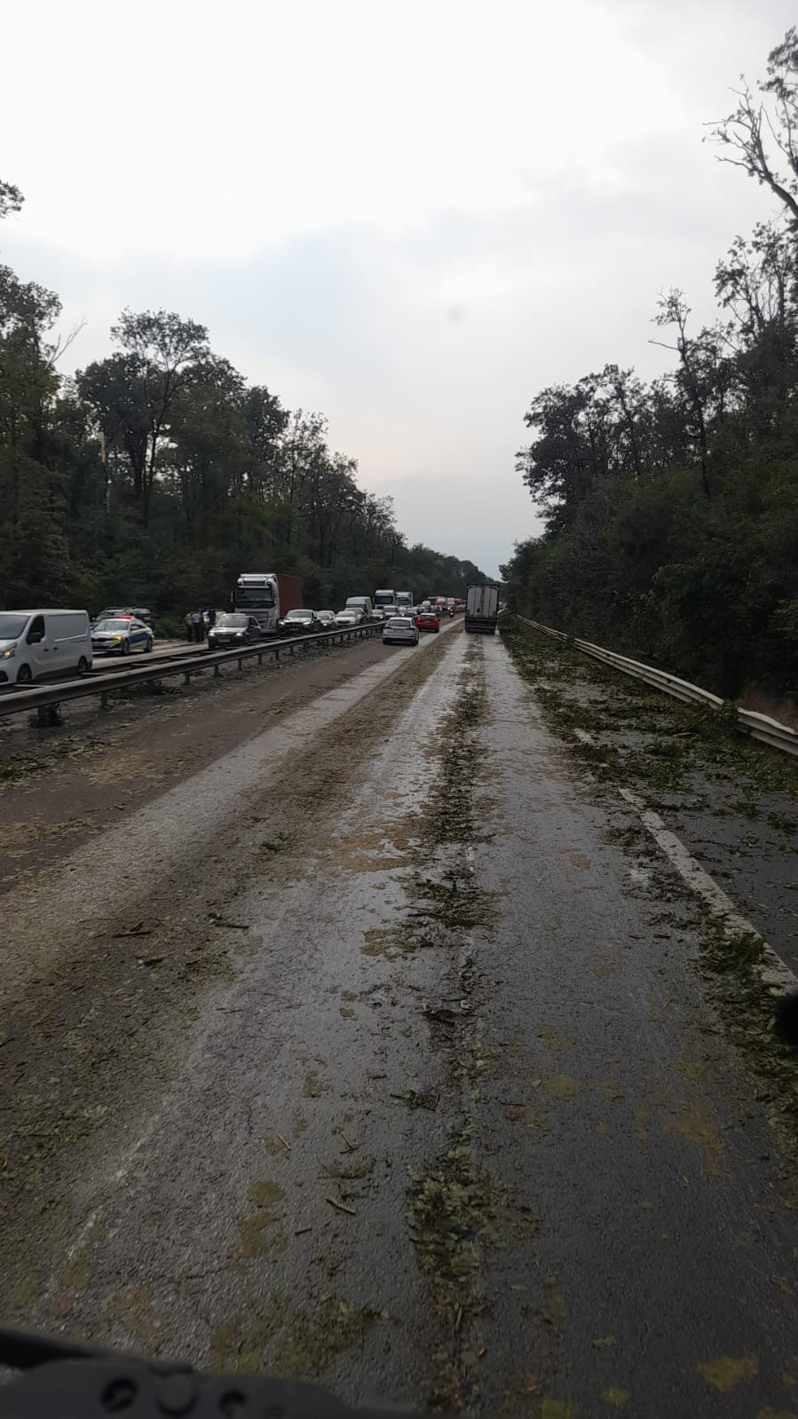 Urmările vijeliei care a făcut prăpăd în București și pe autostrada A1: o femeie a murit în Otopeni, mașini distruse de copaci, trafic îngreunat pe A1