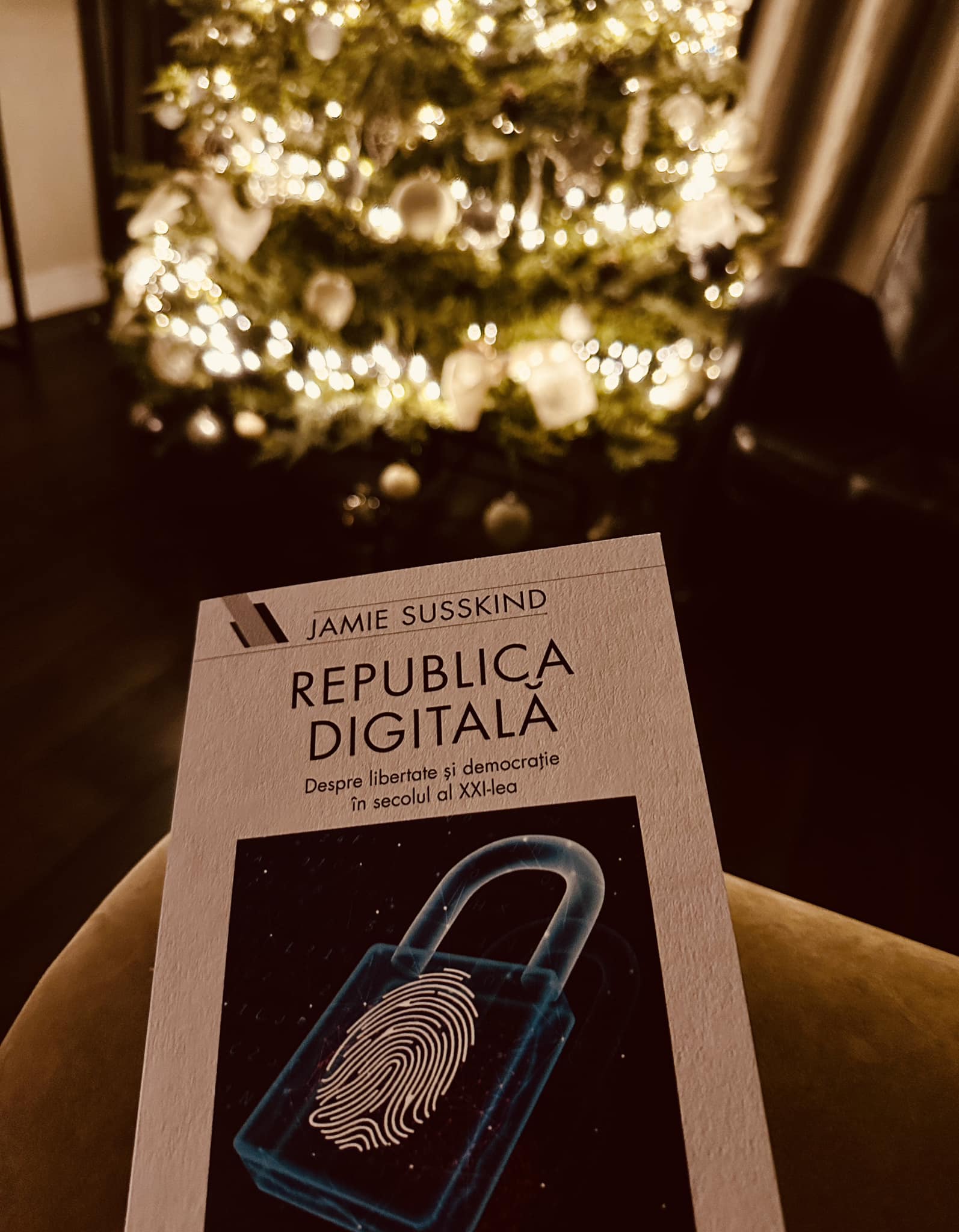 Imagini din sufrageria Danei Budeanu. Cum a decorat bradul de Crăciun din casa ei