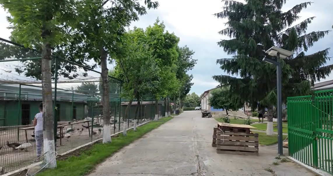 Imagini rare cu proprietatea lui Nuțu Cămătaru. Cum arată domeniul din Ferentari unde sunt crescuți cai și animale exotice