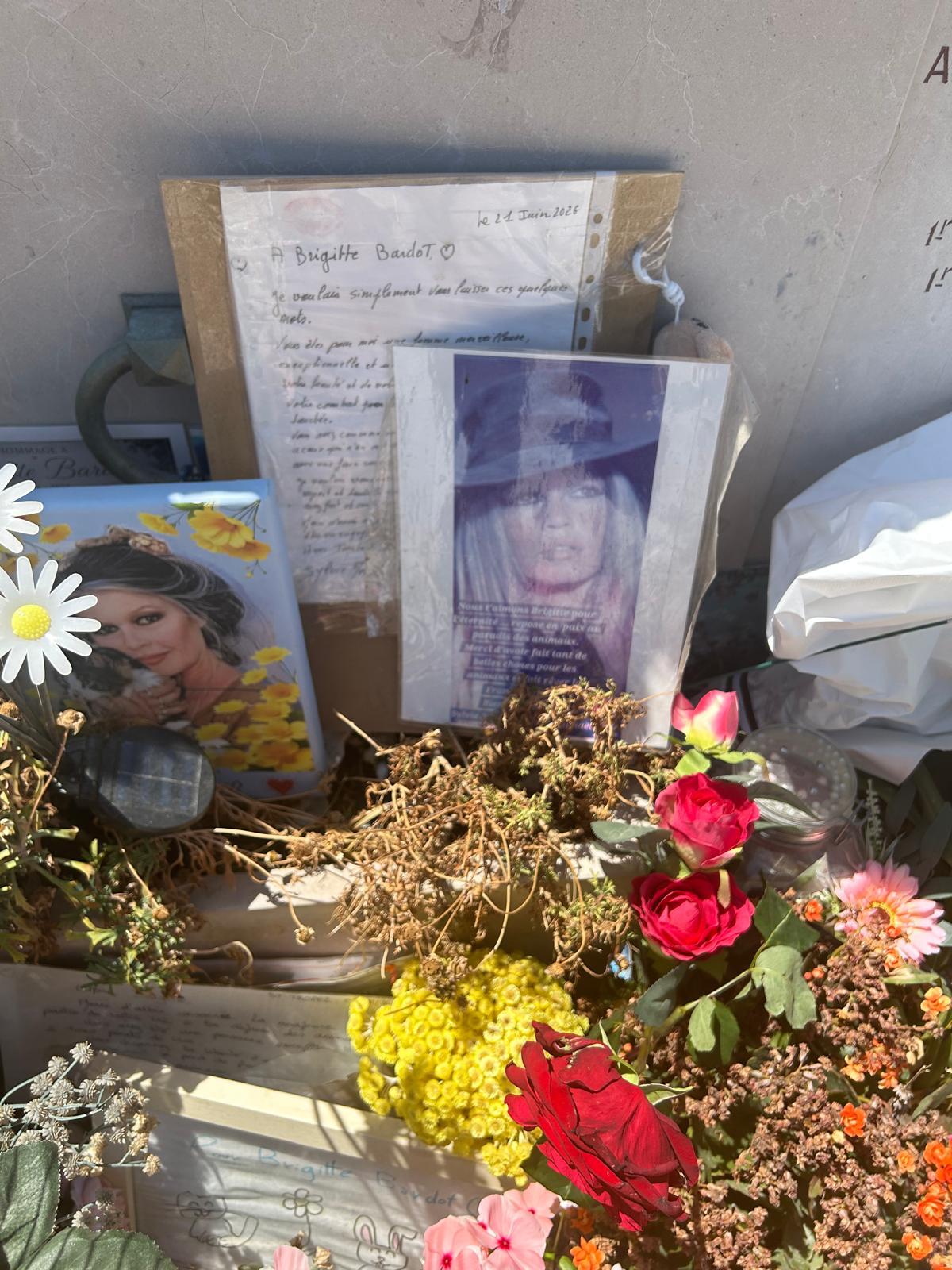 Locul unde este înmormântată Brigitte Bardot: „Merita mausoleu, e legendă. Dar așa a vrut ea”