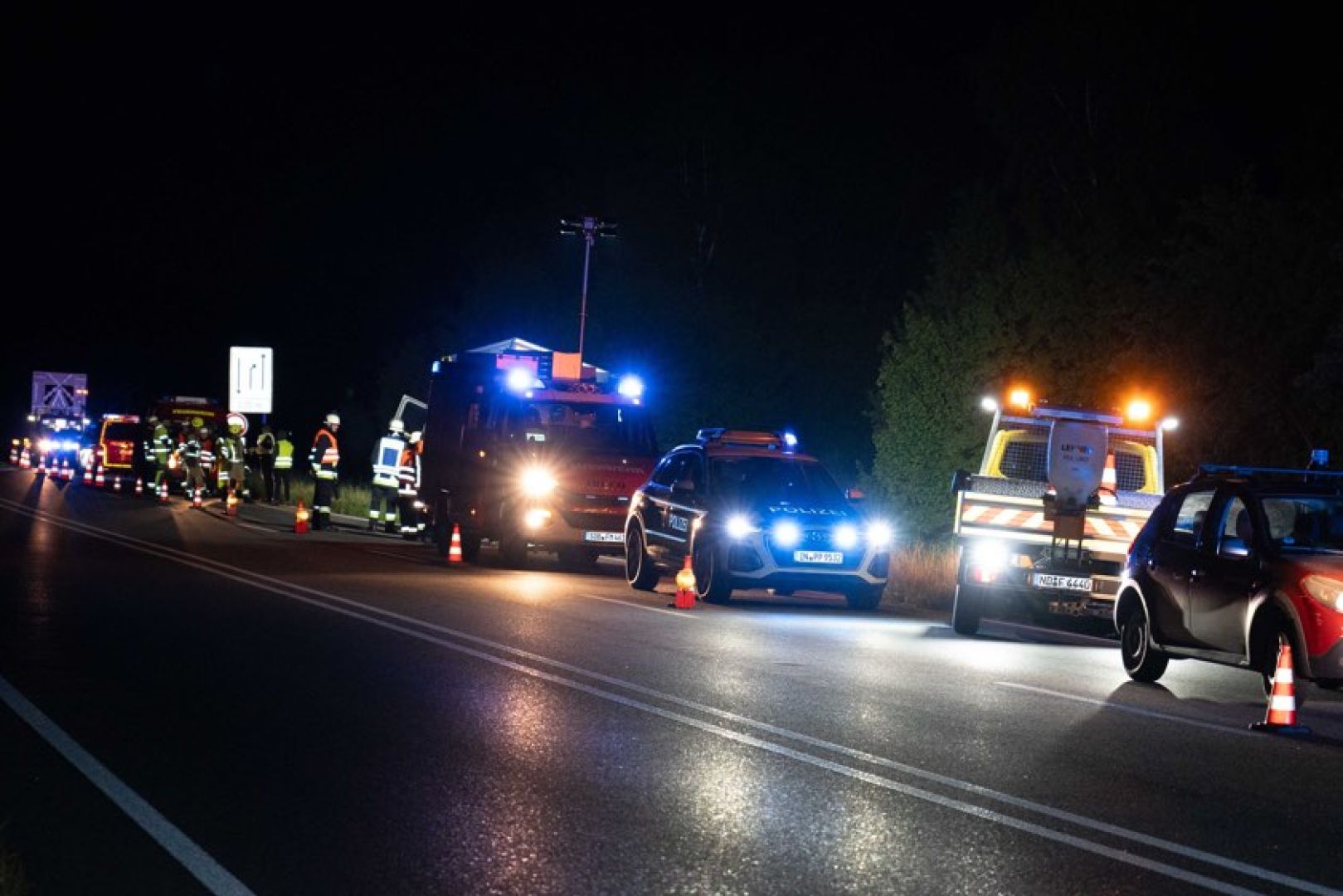 Șofer român de TIR scos de pe șosea de o turmă de căprioare, în Germania