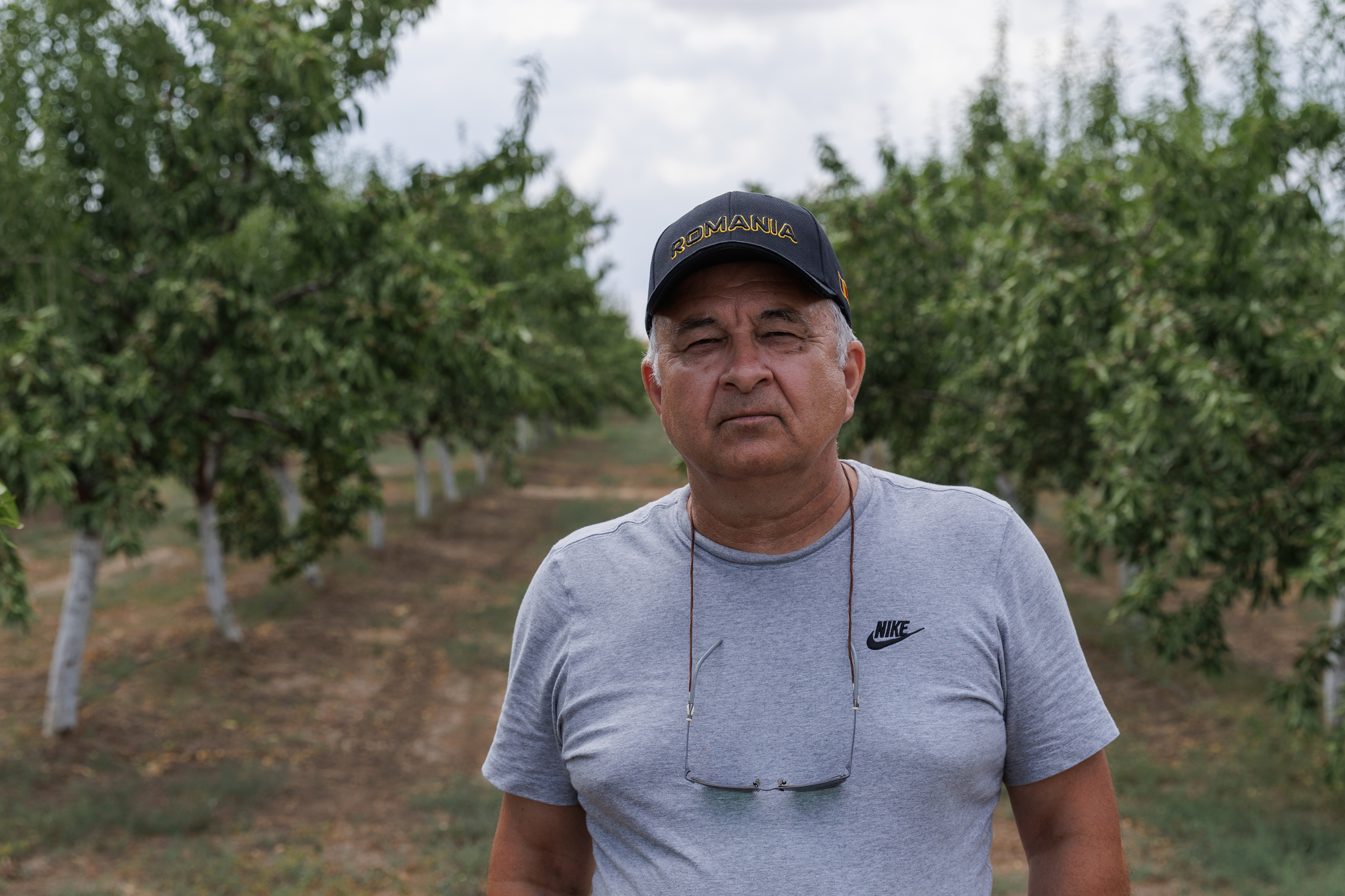 REPORTAJ Familia Bălașa din Jurilovca, Tulcea, a înființat o afacere cu migdale din fonduri europene: „Am pus cele mai gustoase soiuri! Dar fără procesare ieșim în pierdere” 