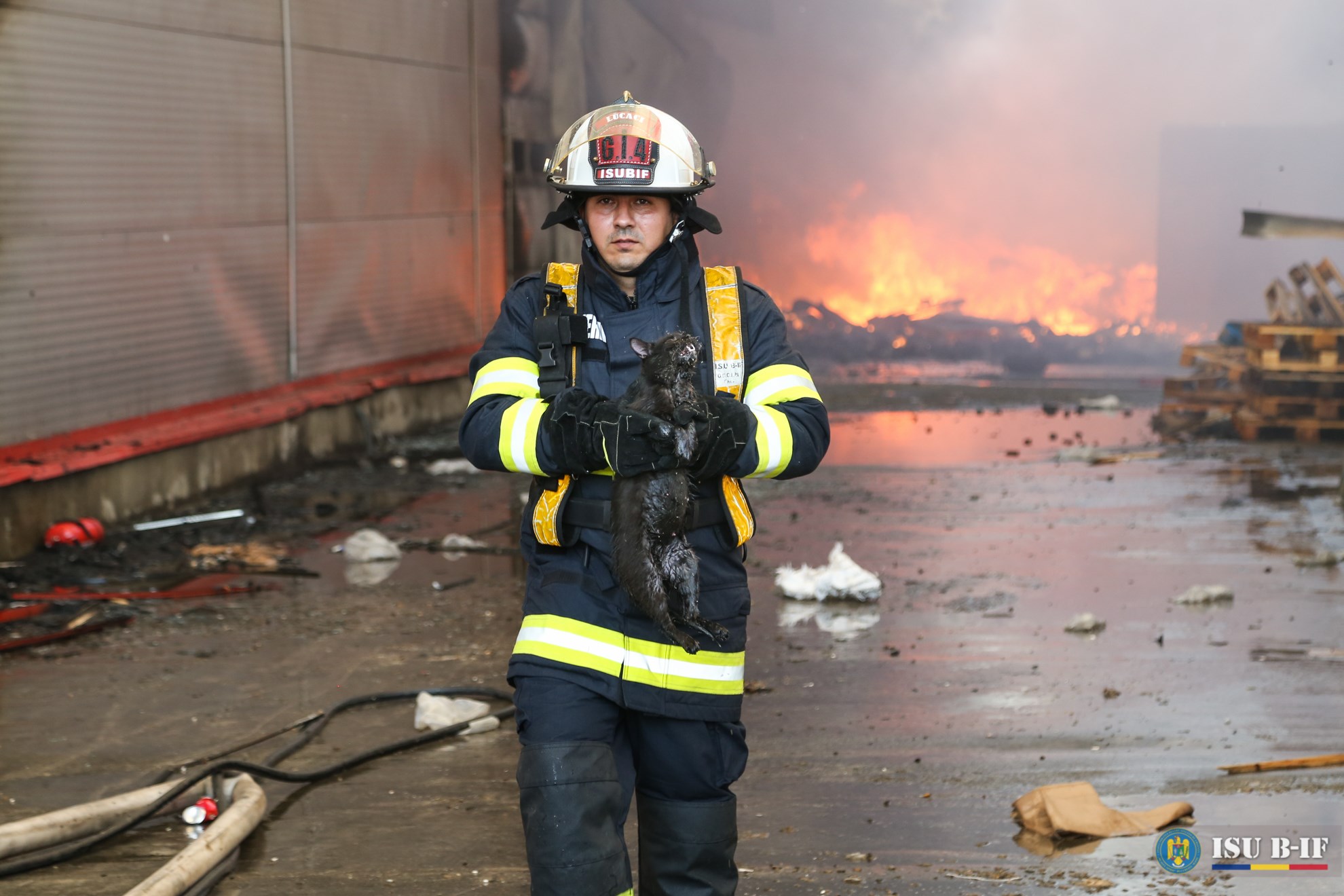 VIDEO | Un pompier și-a riscat viața pentru a salva o pisică dintr-un incendiu puternic. “Vă rog să-mi spuneți că trăiește”