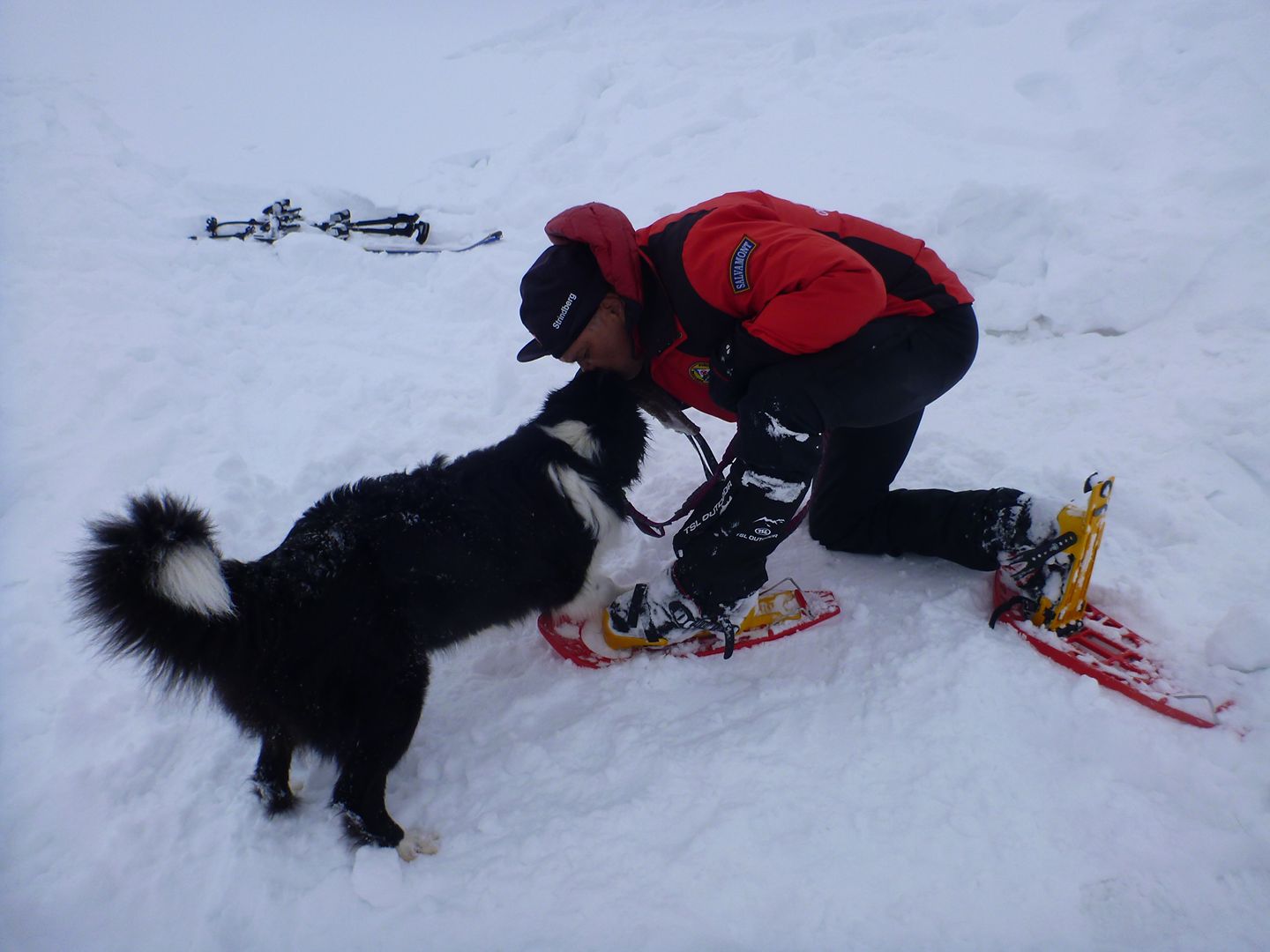 REPORTAJ/Povestea câinilor de avalanșă Helios și Dara sau încrederea de nezdruncinat dintre om şi animal: "Unde merg eu, merg şi ei"/ FOTO
