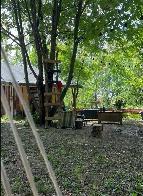 Cum arată cabana din pădure a Mihaelei Bilic după ce i-a pus acoperișul. Și-a amenajat și curtea, unde are hamac