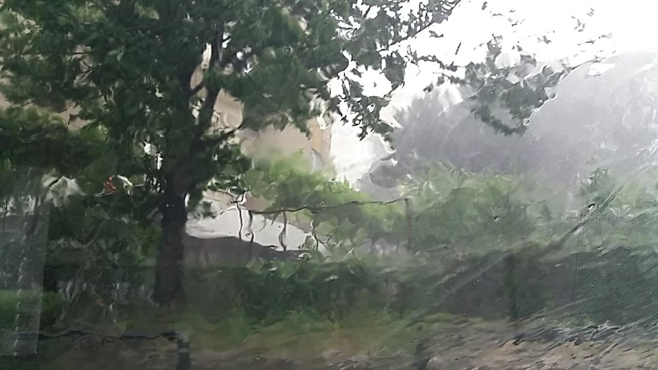Inundații în Brașov după ploile torențiale. Traficul feroviar, blocat de un copac doborât de furtună / FOTO&VIDEO