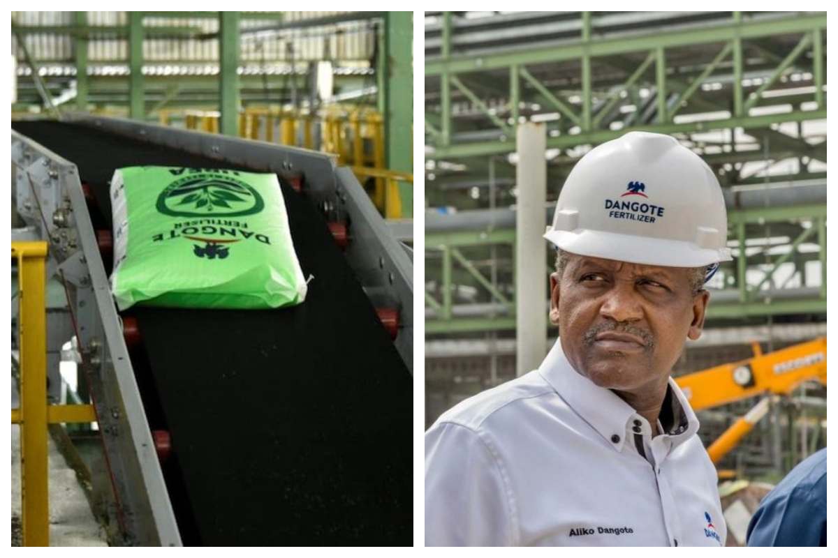 Nigerian billionaire, Dangote, sets ambitious goal with $2.5 billion fertilizer plant