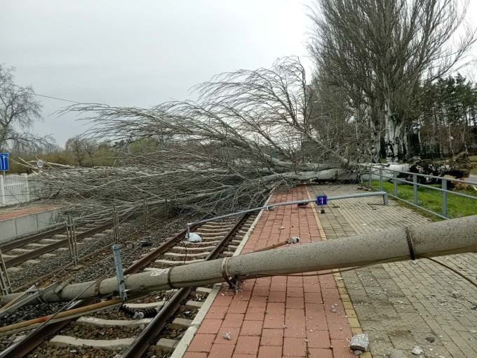 Megbénult a vonatközlekedés a Balatonnál a vihar miatt, hatalmas fa zuhant a vasúti pályára - itt a fotó