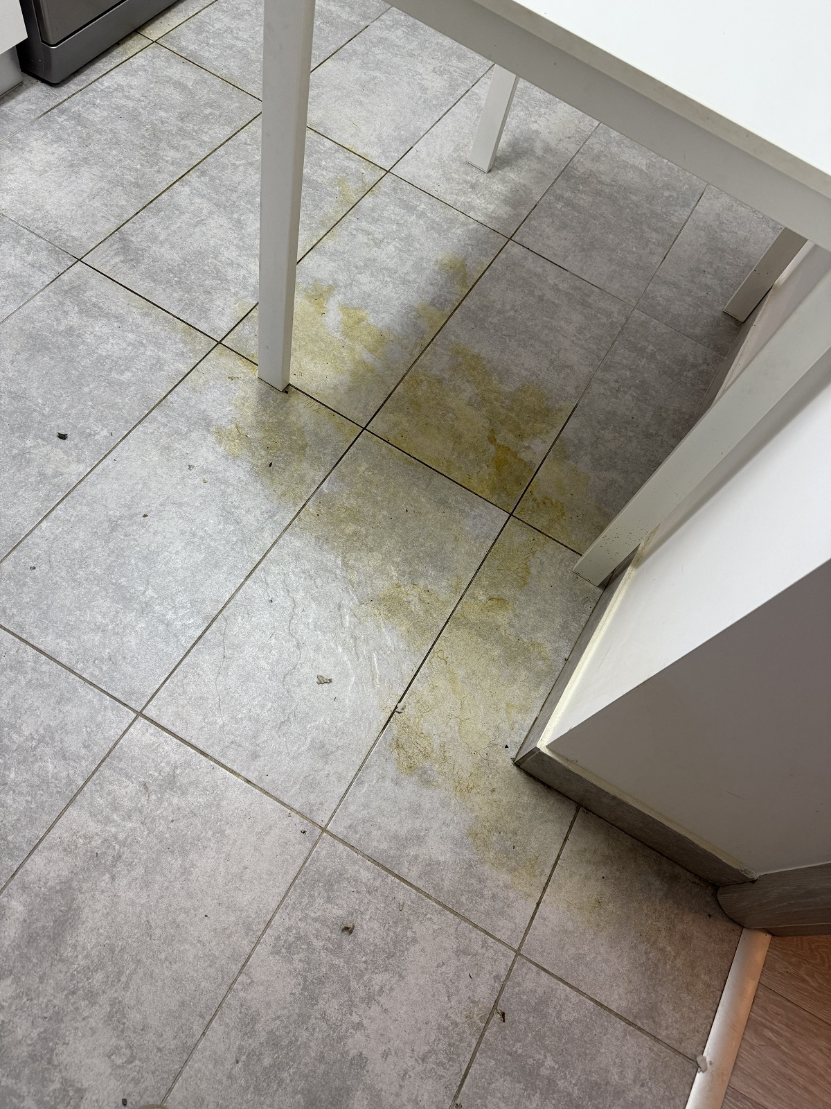 Imagini înainte și după cu apartamentul pe care Calina Dumitrescu l-ar fi distrus. Proprietara rupe tăcerea: „O pune pe mama ei sa se ocupe de mizeria pe care ea o face”