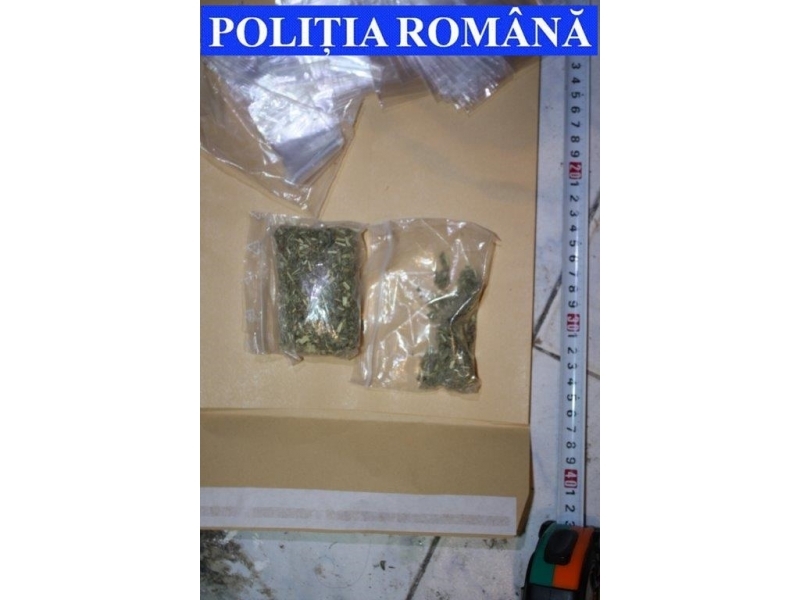 Zeci de polițiști și mascați au descins într-un bloc de interlopi din Focșani pentru destructurarea unei rețele de traficanți de droguri