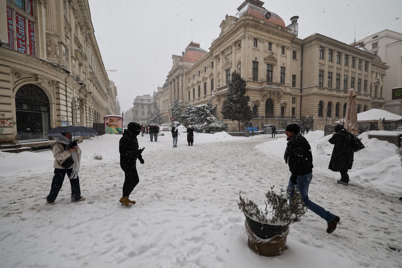 Codul galben de ninsori și viscol a făcut prăpăd în mai multe județe: copaci rupți și mașini distruse în București, drumuri închise sau restricționate în 16 județe | VIDEO