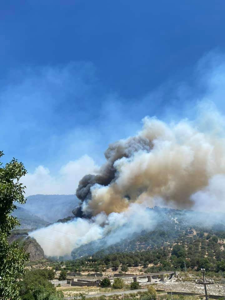 Incendiile puternice continuă în sudul Italiei. Temperaturi de peste 40 de grade, așteptate în următoarele zile