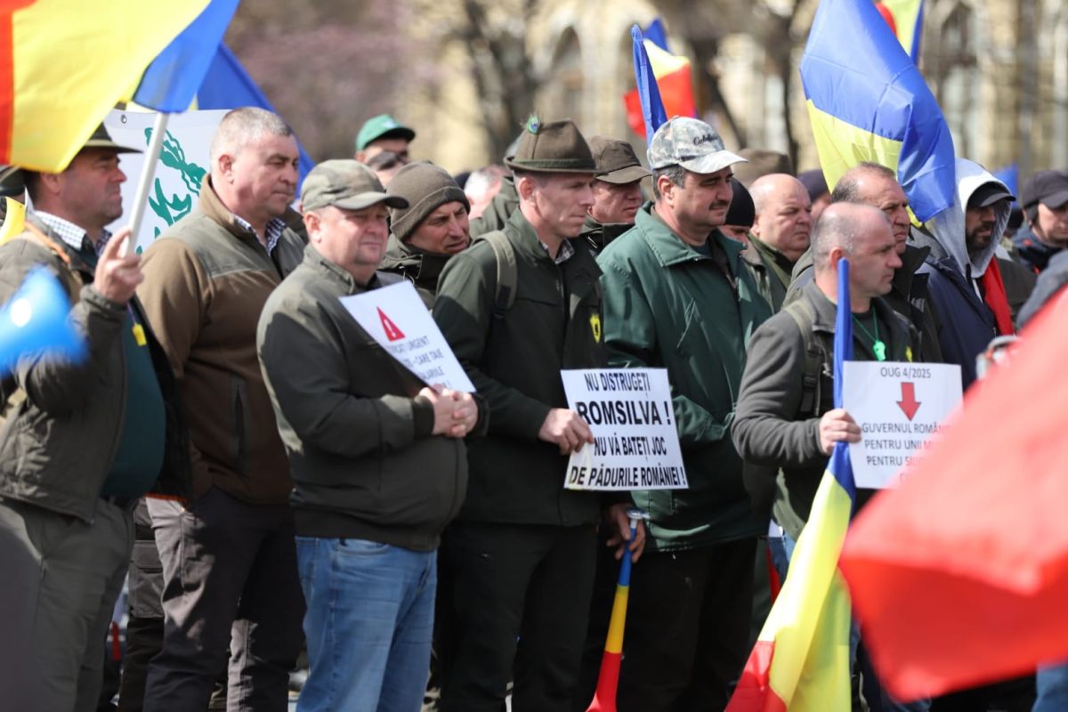 Silvicultorii protestează la București față de tăierea salariilor și amenință cu greva generală