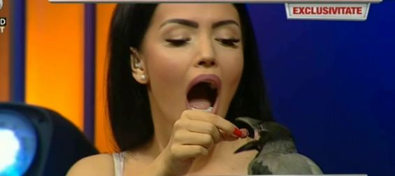 Ce i-a făcut o cioară Andreei Mantea în direct. "Cred că nu sunt pregătită" | FOTO