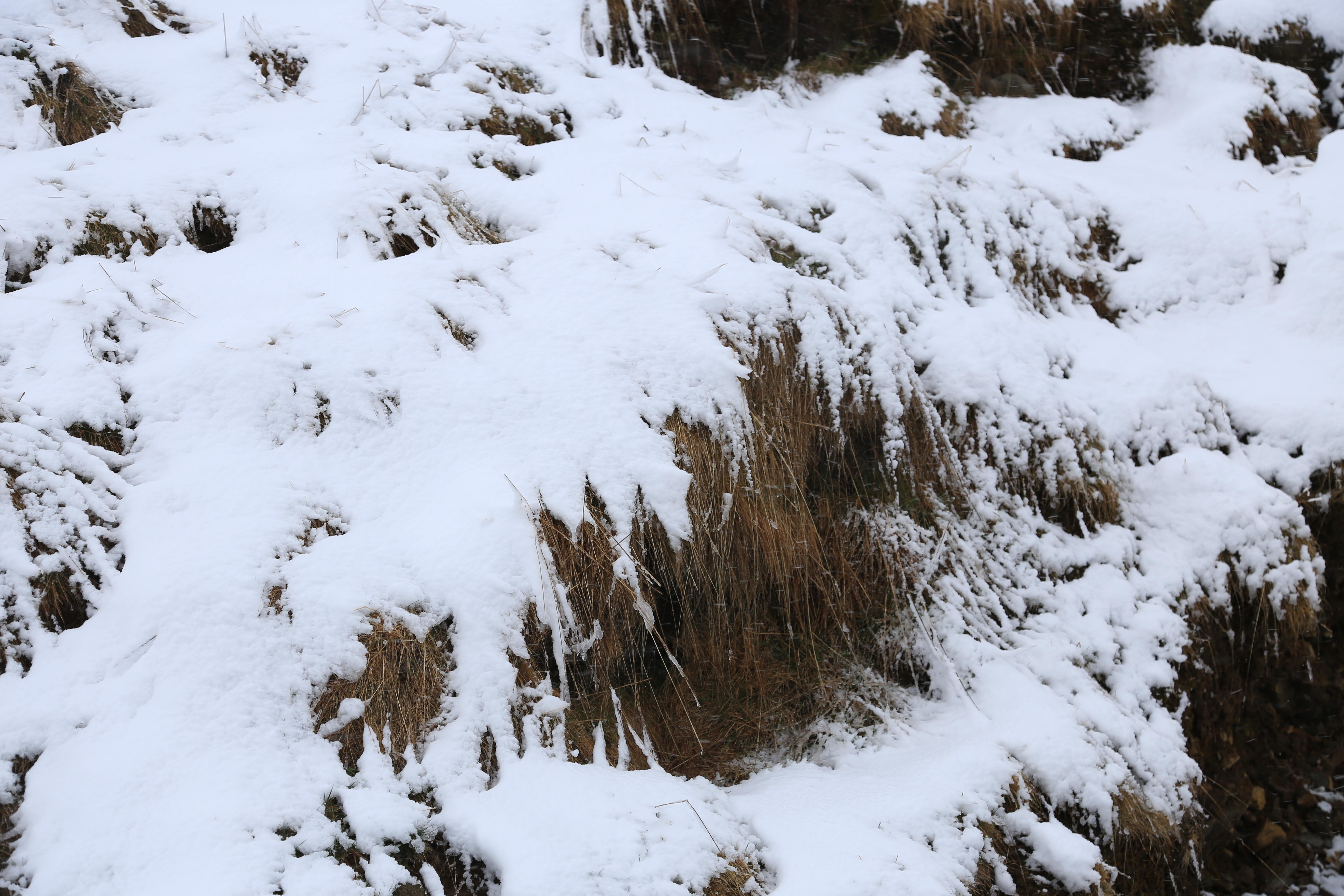 FOTO Peisaj feeric la munte! A nins ca în plină iarnă pe Valea Prahovei
