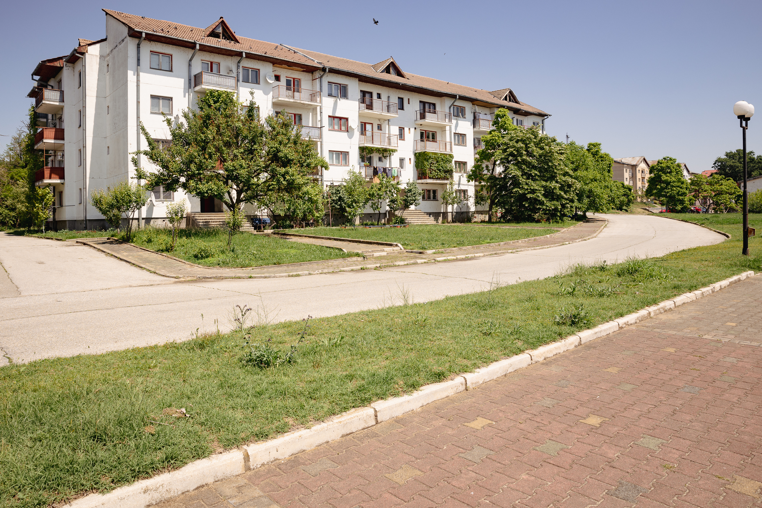 REPORTAJ | Pulsul campaniei în comuna din Mehedinți unde doi foști soți candidează la primărie: „Să mai conducă și muierile! Că poate mai țin și cu muierile! Că oamenii nu țin decât cu oamenii!”