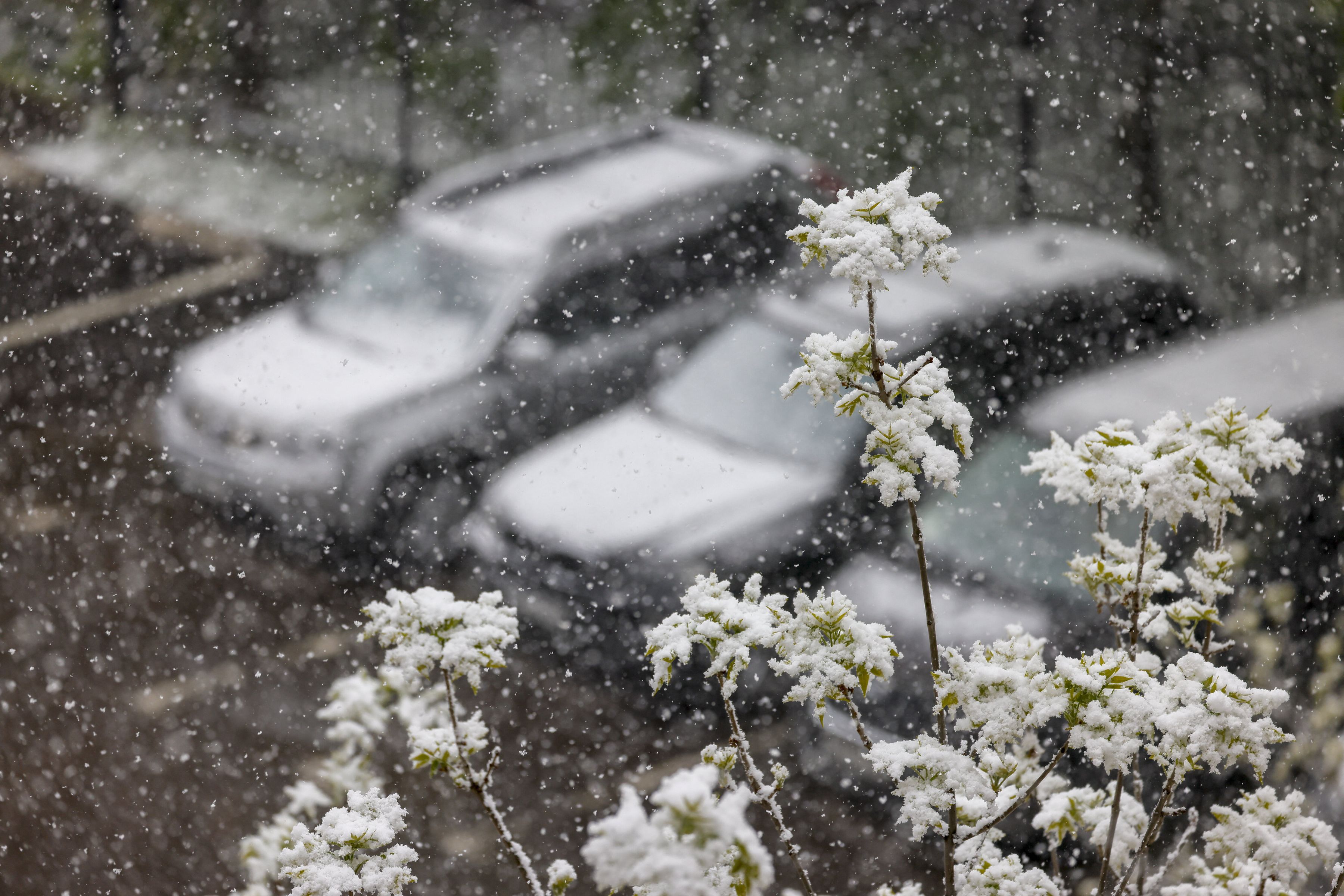 La Moscova a nins puternic și se înregistrează cele mai scăzute temperaturi din ultimii 25 de ani
