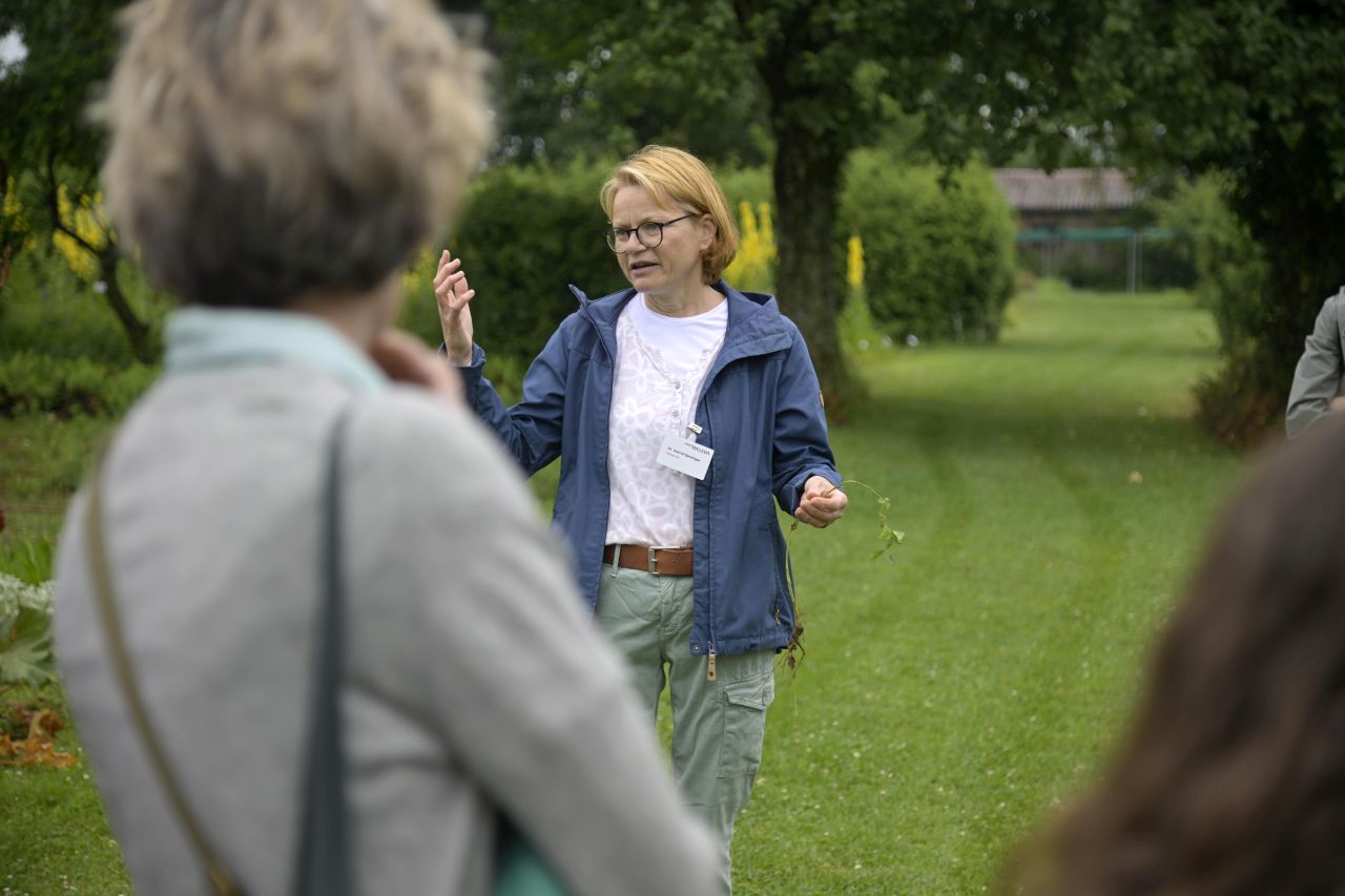 Cum se fabrică celebrele produse Weleda! Am vizitat grădina de plante medicinale din Germania, un paradis de 23 de hectare
