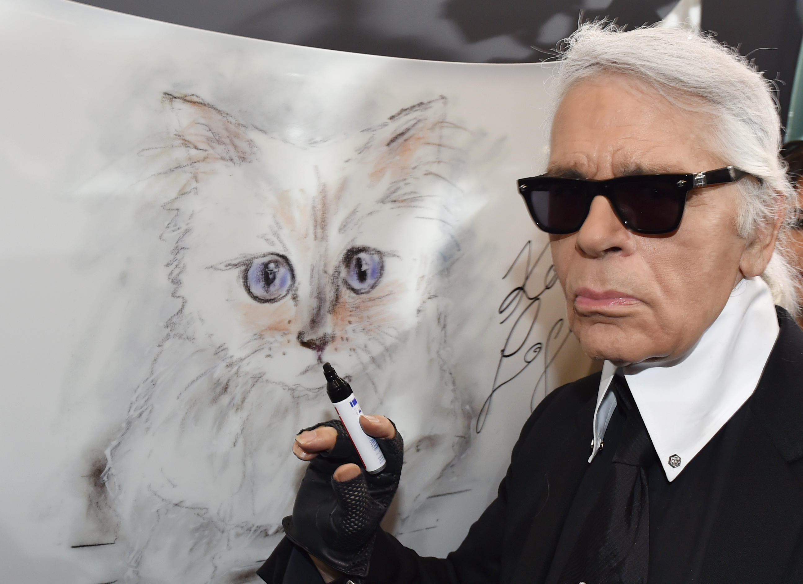 Povestea pisicii care va moșteni averea lui Karl Lagerfeld. Designerul era nedespărțit de Choupette | FOTO