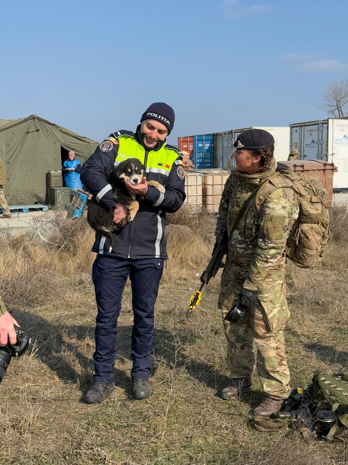 În Galați, un soldat britanic a salvat patru căței aflați în zona tragerilor. „Fiecare viață contează”