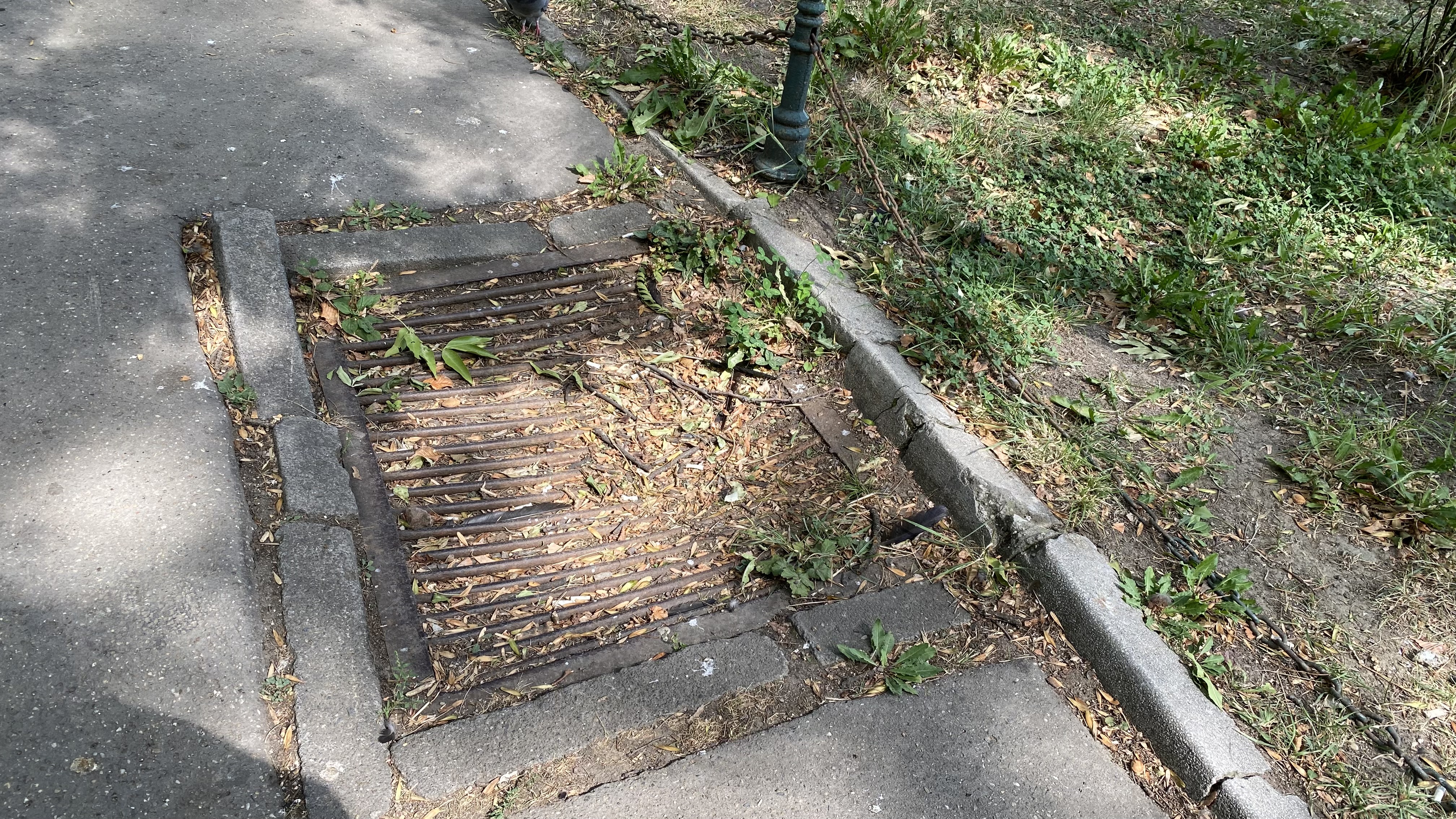 Cișmigiu, mândria tristă a Bucureștiului: pământ în loc de iarbă, alei distruse, garduri rupte și mirosuri insuportabile
