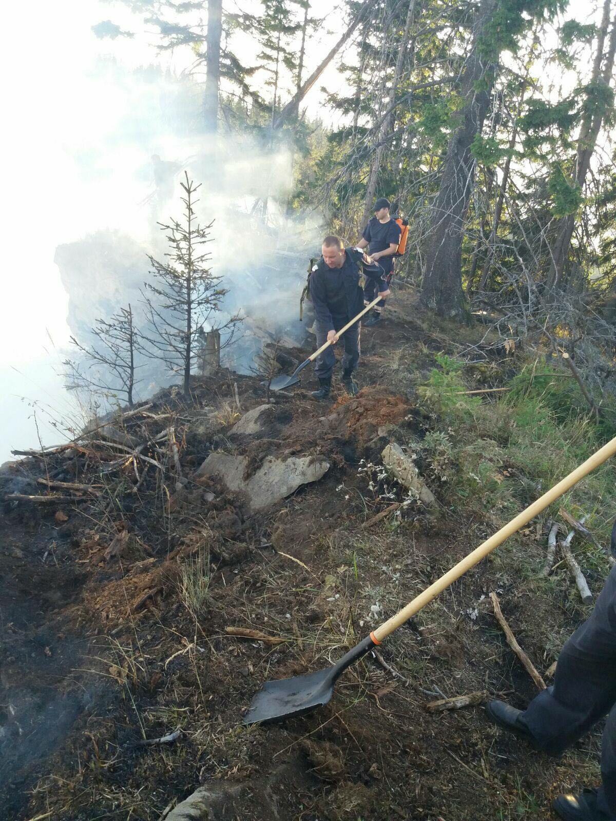 Incendiu izbucnit pe o plantație de conifere din Bistrița. Pompierii, pădurarii și sătenii luptă cu flăcările VIDEO