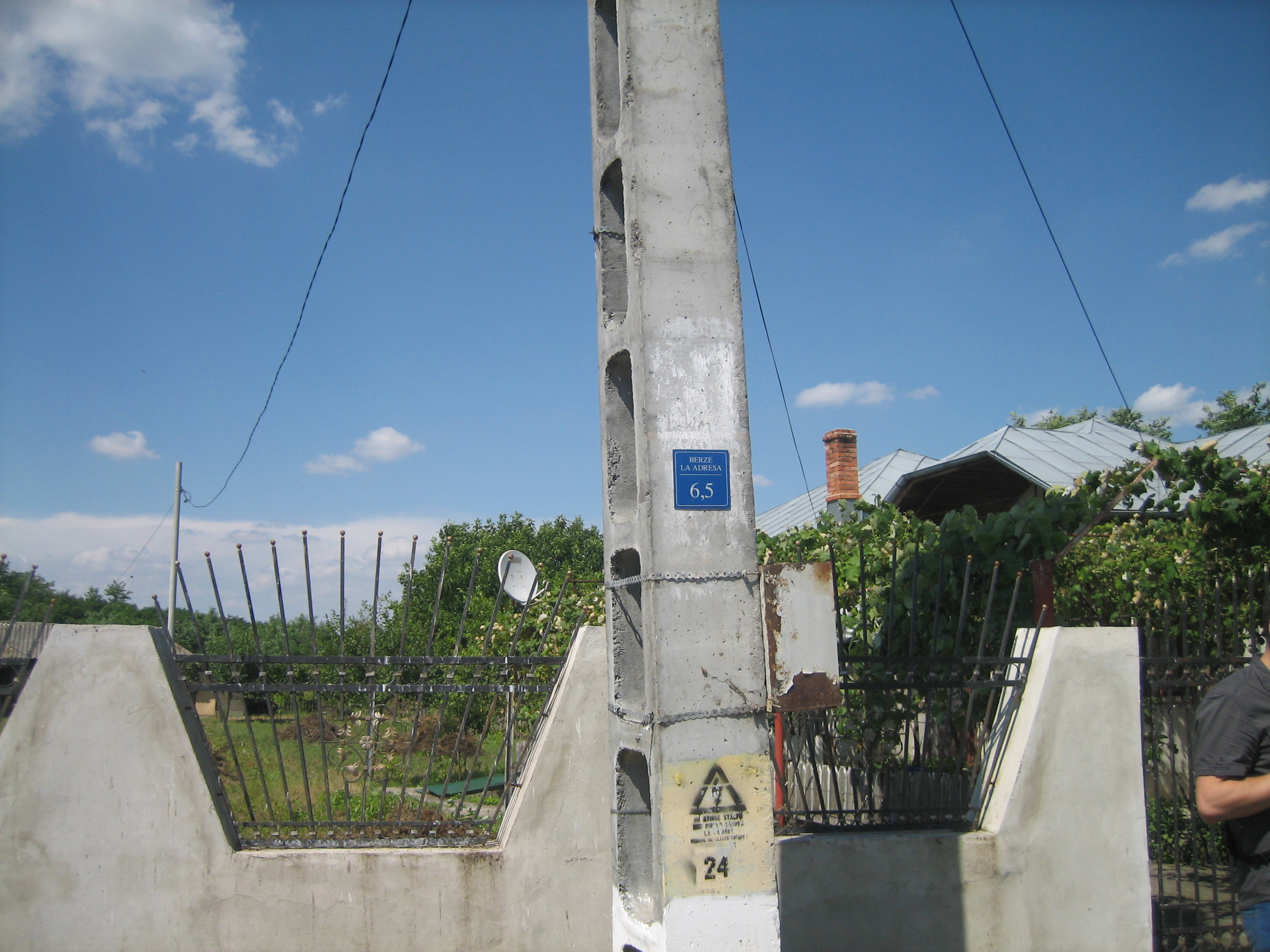 Proiect de protejare a zburătoarelor împotriva electrocutării: Cu ocazia recensământului, casa berzei a primit număr