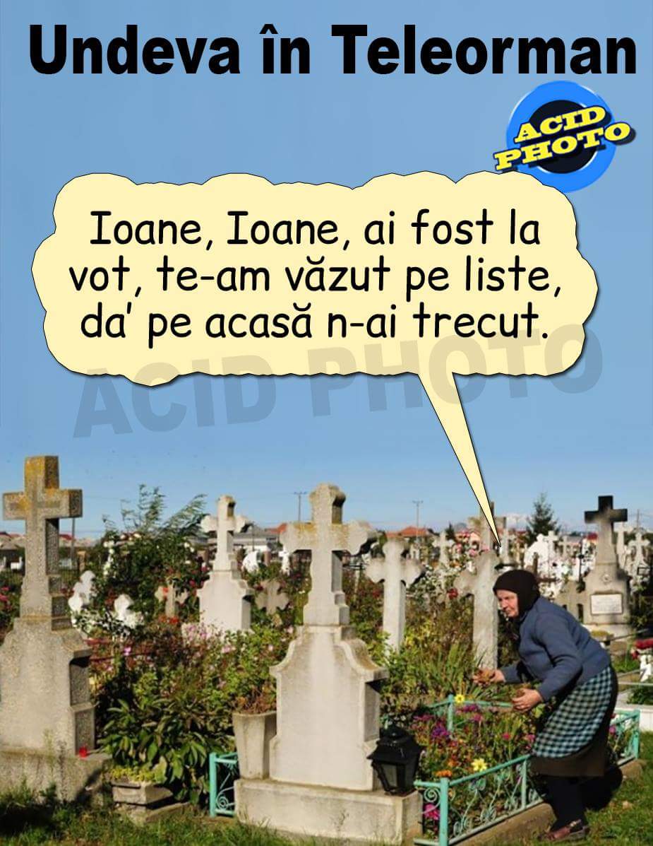 Cele mai bune glume despre referendum. Românii au făcut haz de prezenţa slabă la vot şi de implicarea politicienilor şi a Bisericii