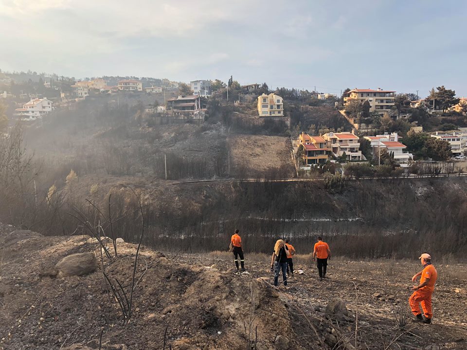 CORESPONDENȚĂ LIBERTATEA DIN RAFINA, GRECIA | Satul care a ars în proporție de 80%. Peste 30 de oameni au murit și jumătate din case au ars