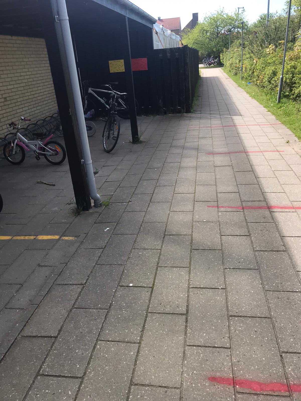 O româncă din Danemarca povestește cum s-a organizat reluarea cursurilor: copiii, împărțiți în grupe cu nume de culori, iar “galbenul” nu se întâlnește cu “verdele”