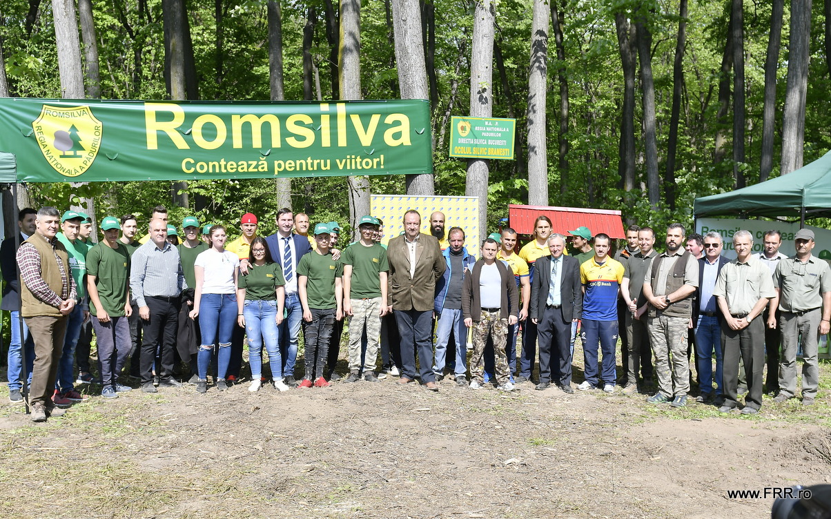 ”Stejarii” au plantat stejari la Brănești. Rugbyștii tricolori, ajutați de silvicultorii Romsilva / FOTO