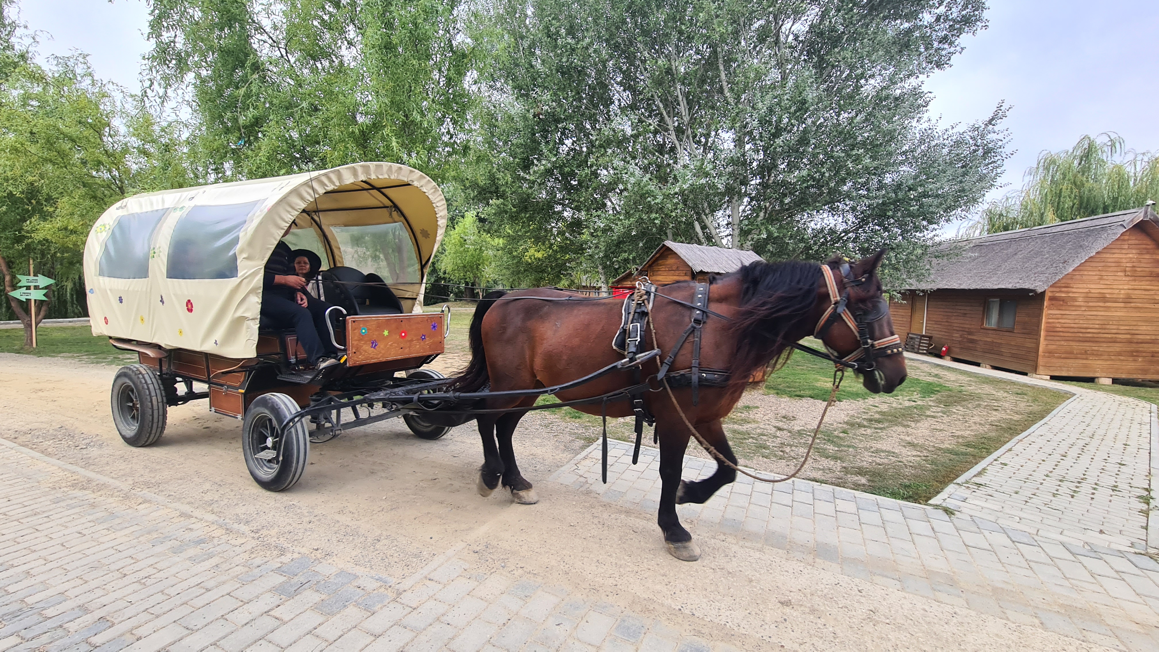 „Delta Dunării” de pe Siret. Satul de vacanță de 82 de hectare, cu zoo, pescuit sportiv și kilometri de canale unde te poți plimba cu barca