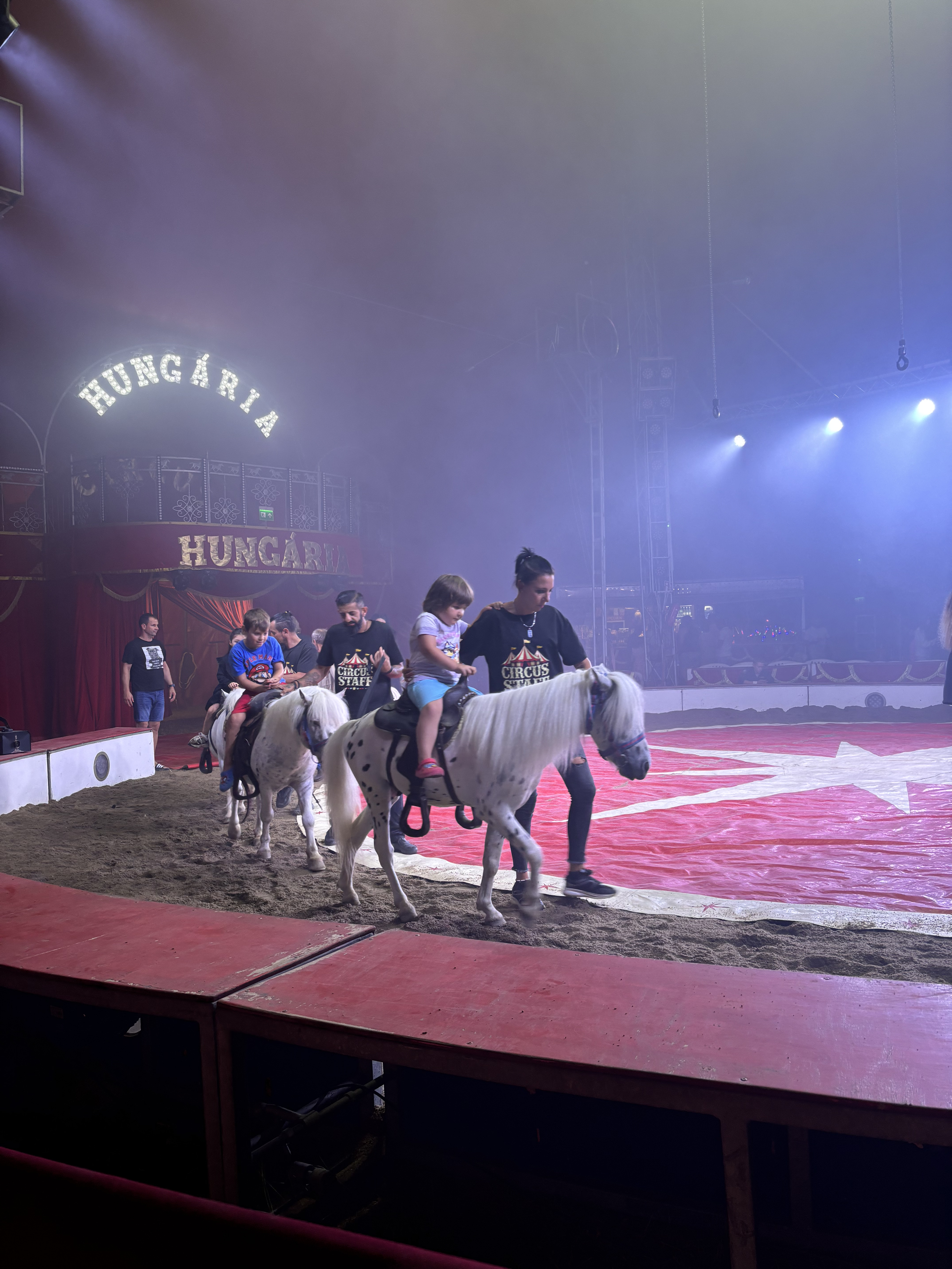 Din nou la Circ. Râzi cu Clovnul, te amuzi cu cai și papagali. Ți se taie răsuflarea cu acrobați. Nimic nu se compară cu Globul Morții