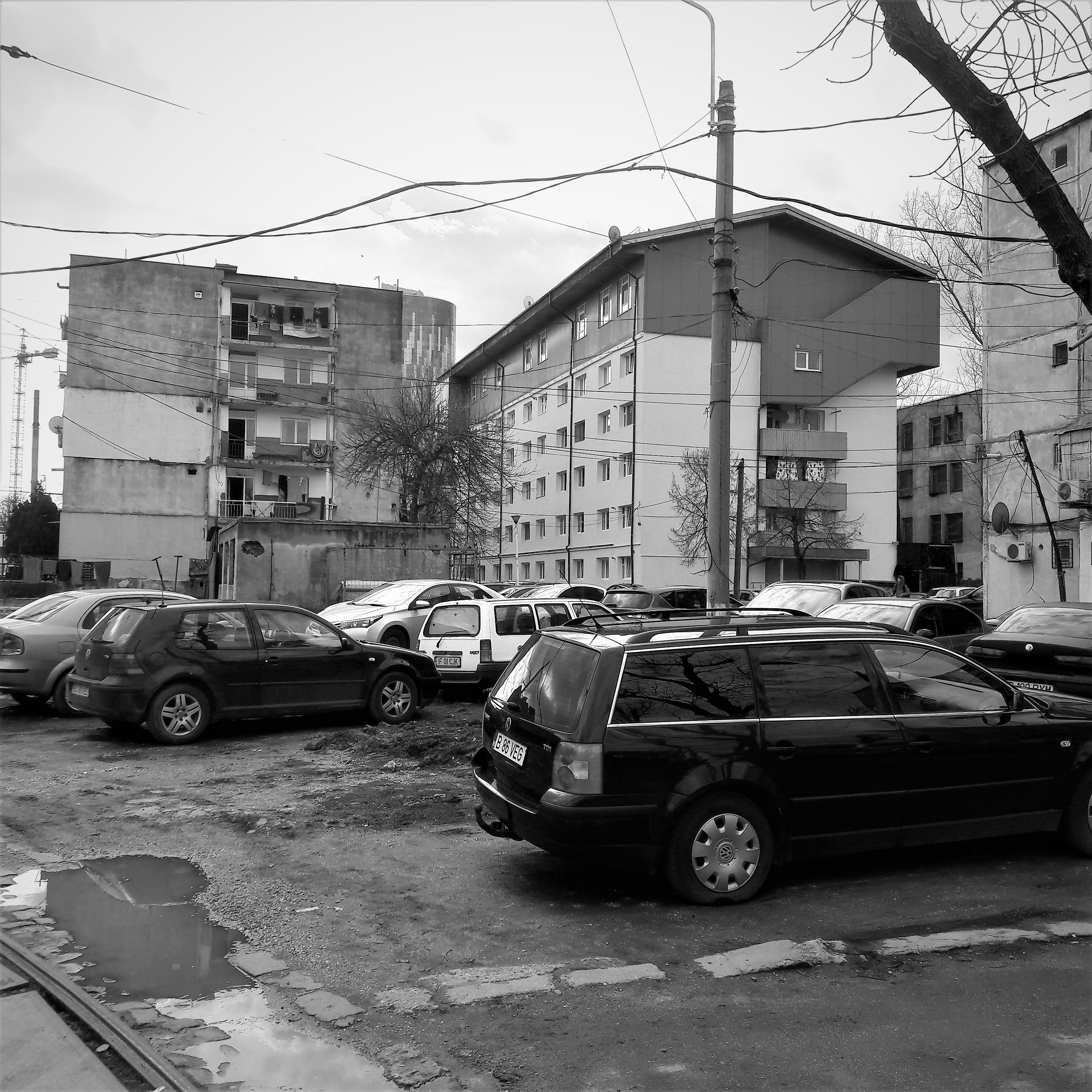 FOTOREPORTAJ | #salvatipipera, între ALB și NEGRU