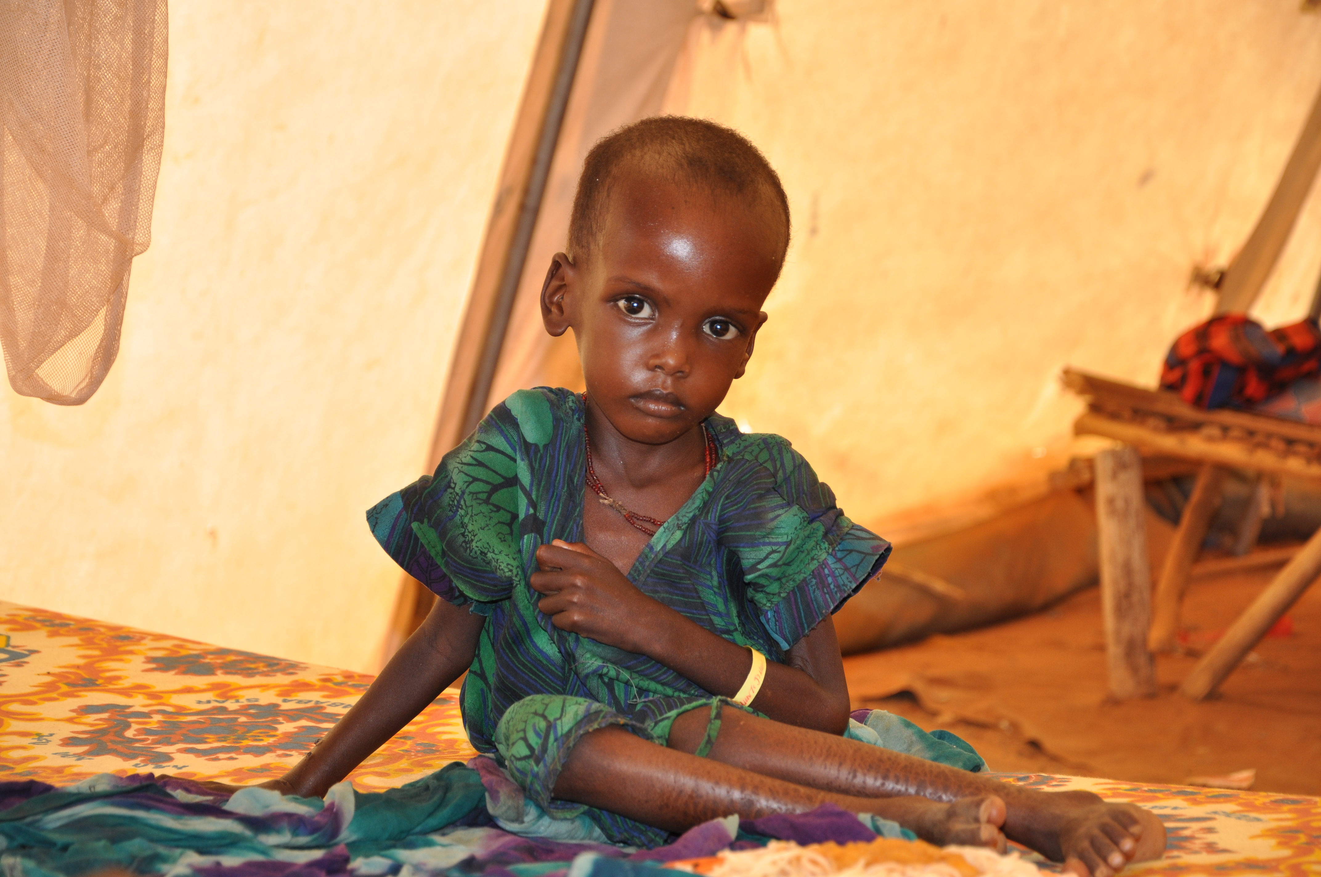 Northern Nigeria’s hunger crisis hits worst level in almost a decade as UN seeks $89 million