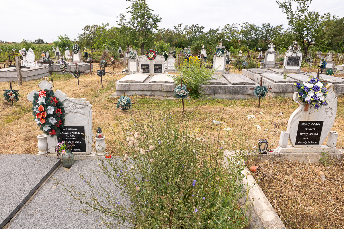 Cimitirul cu necunoscuți din Dumbrava. Viorel Pașca: „Toată lumea, indiferent de religie, are cruce la fel. Ca să nu se supere niciunul”