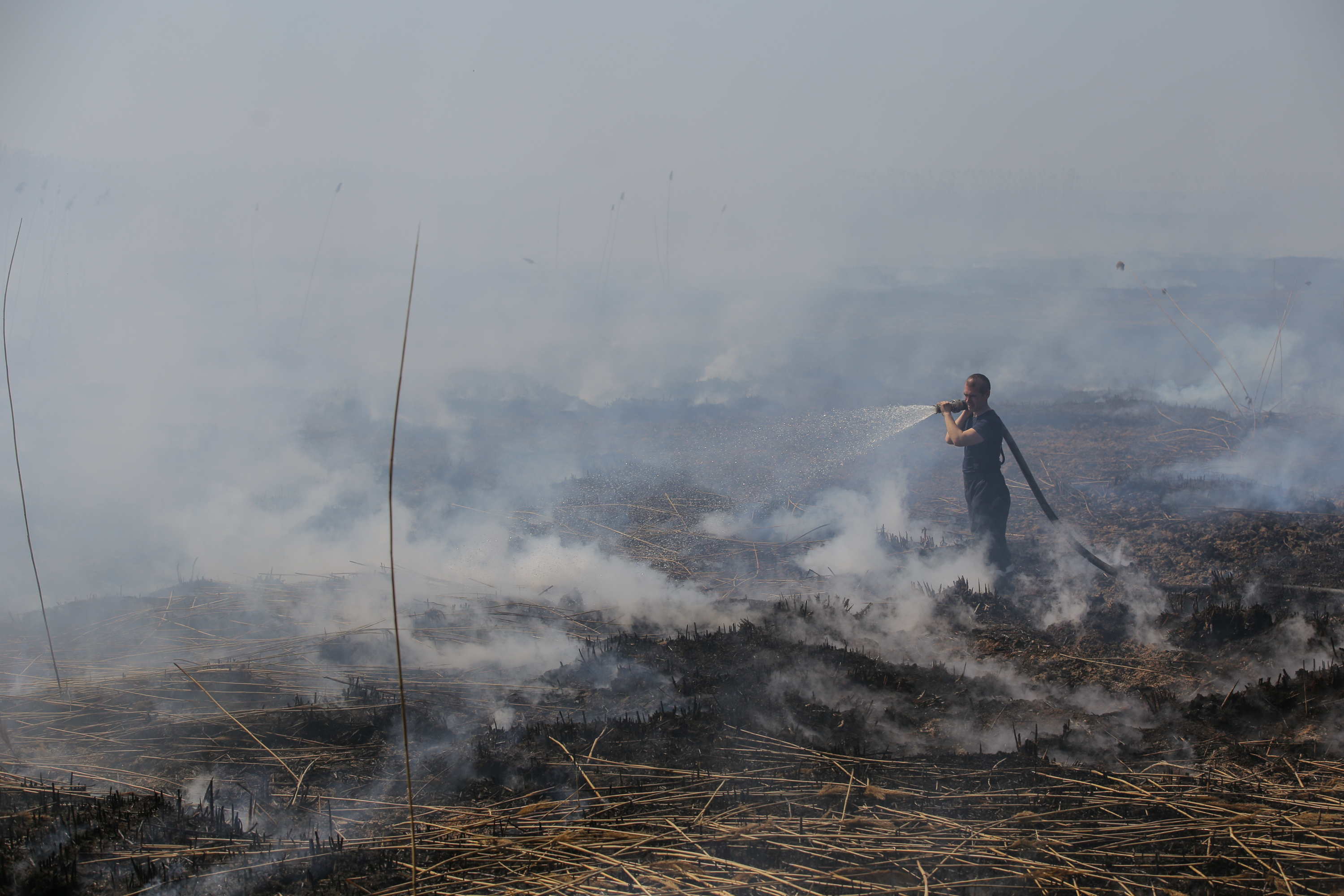 Incendiul care a poluat miercuri Bucureștiul. Cum a ajuns fosta fermă de porci din Periș, care a avut legături cu Liviu Dragnea, un dezastru ecologic