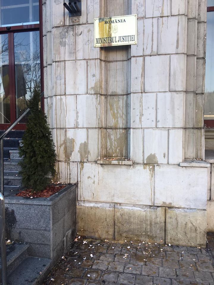 UPDATE. FOTO și VIDEO | Câțiva protestatari au aruncat cu ouă în sediul Ministerului Justiției. Cei patru au fost amendați