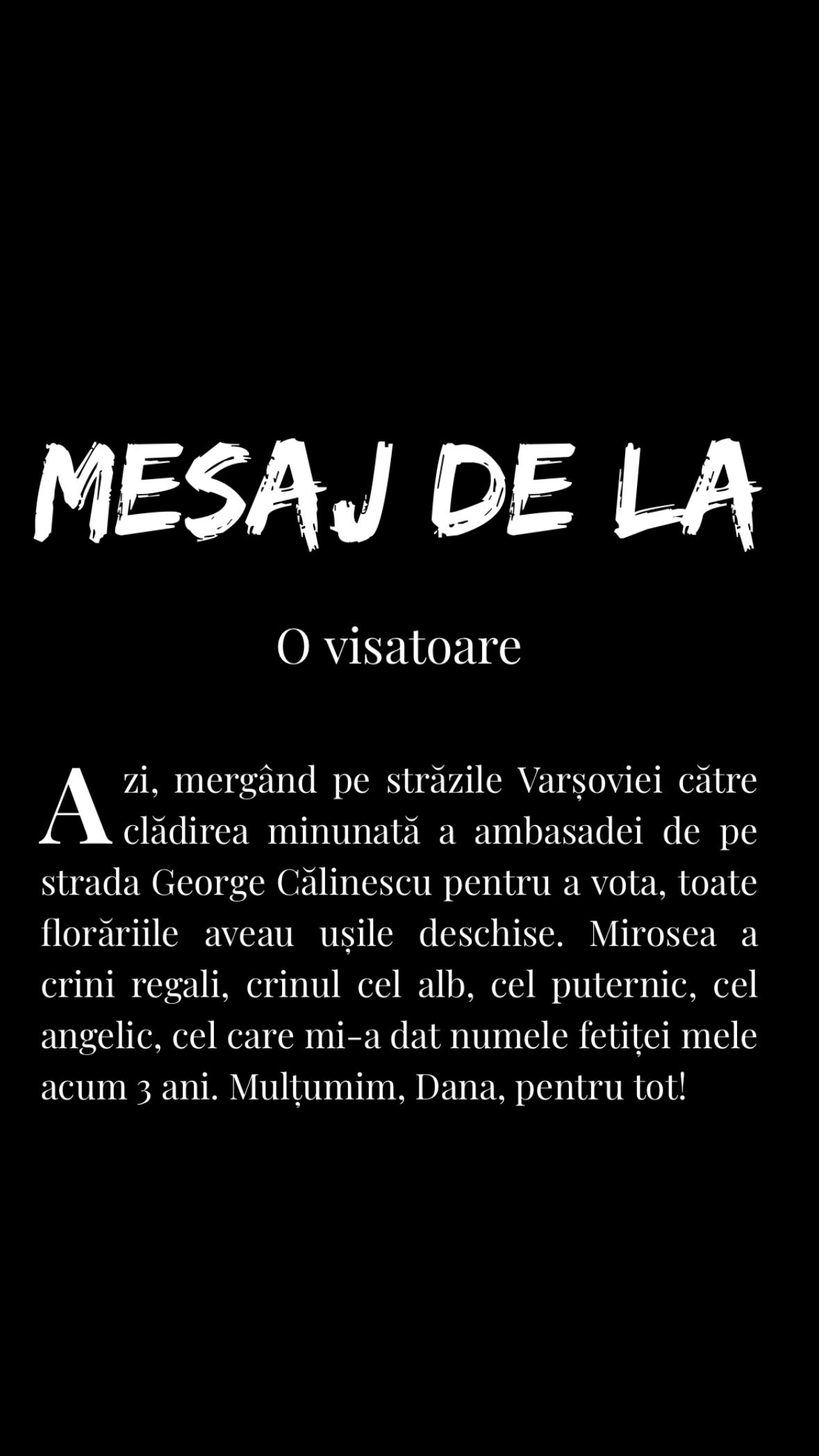 Cele patru cuvinte prin care Dana Budeanu a recunoscut pe cine a votat: „Pă fin”