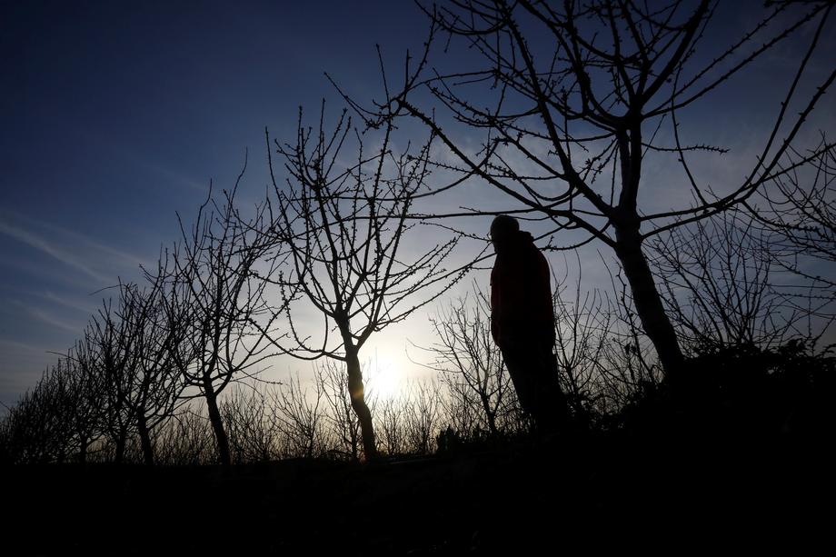 Spania și Portugalia se confruntă cu o seceta extremă, indusă de schimbările climatice: „Recoltele de cereale pentru acest an s-au pierdut”