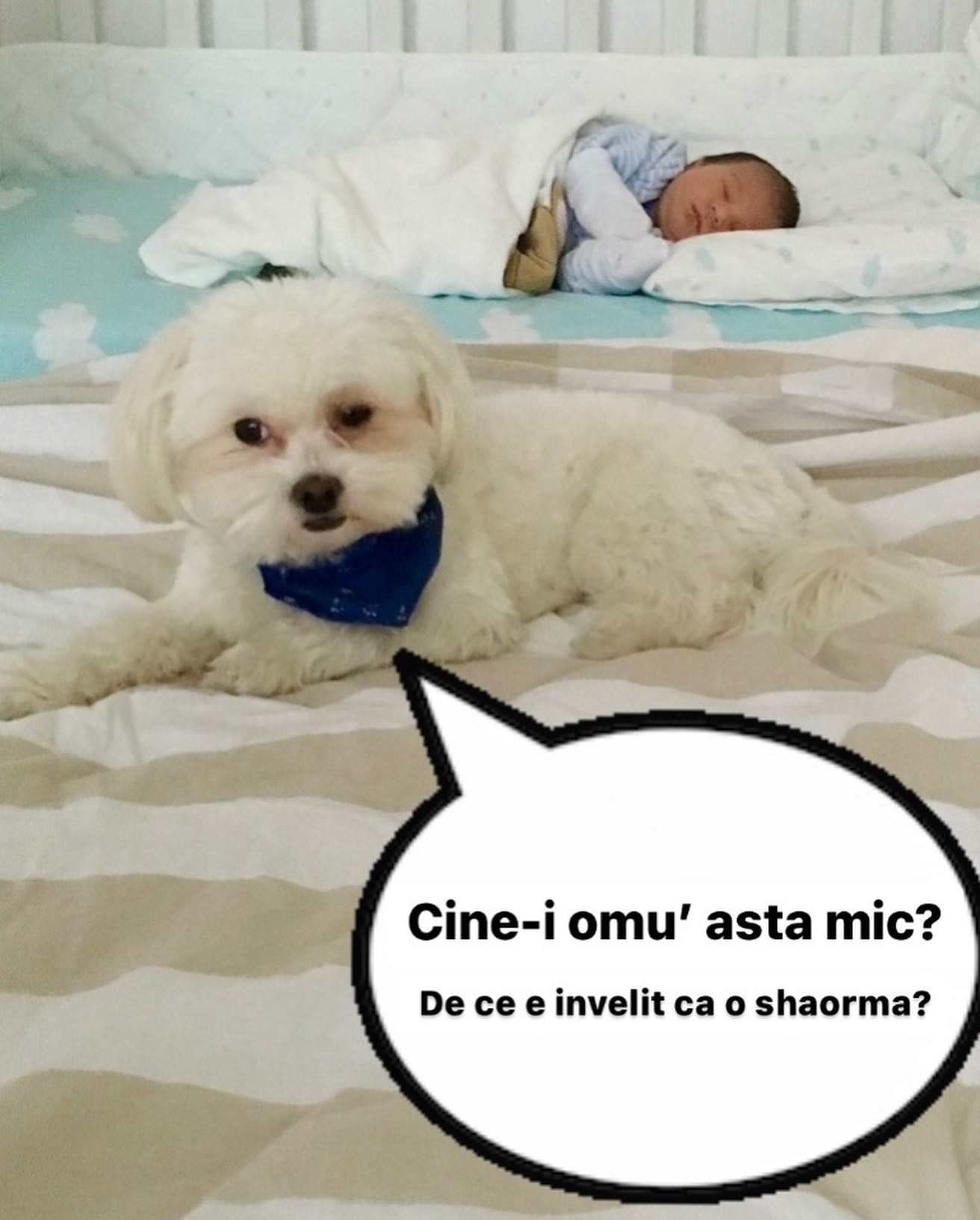 Băiețelul Addei a împlinit 6 ani. Cum arată Alexandru acum. „Te iubește mami!”