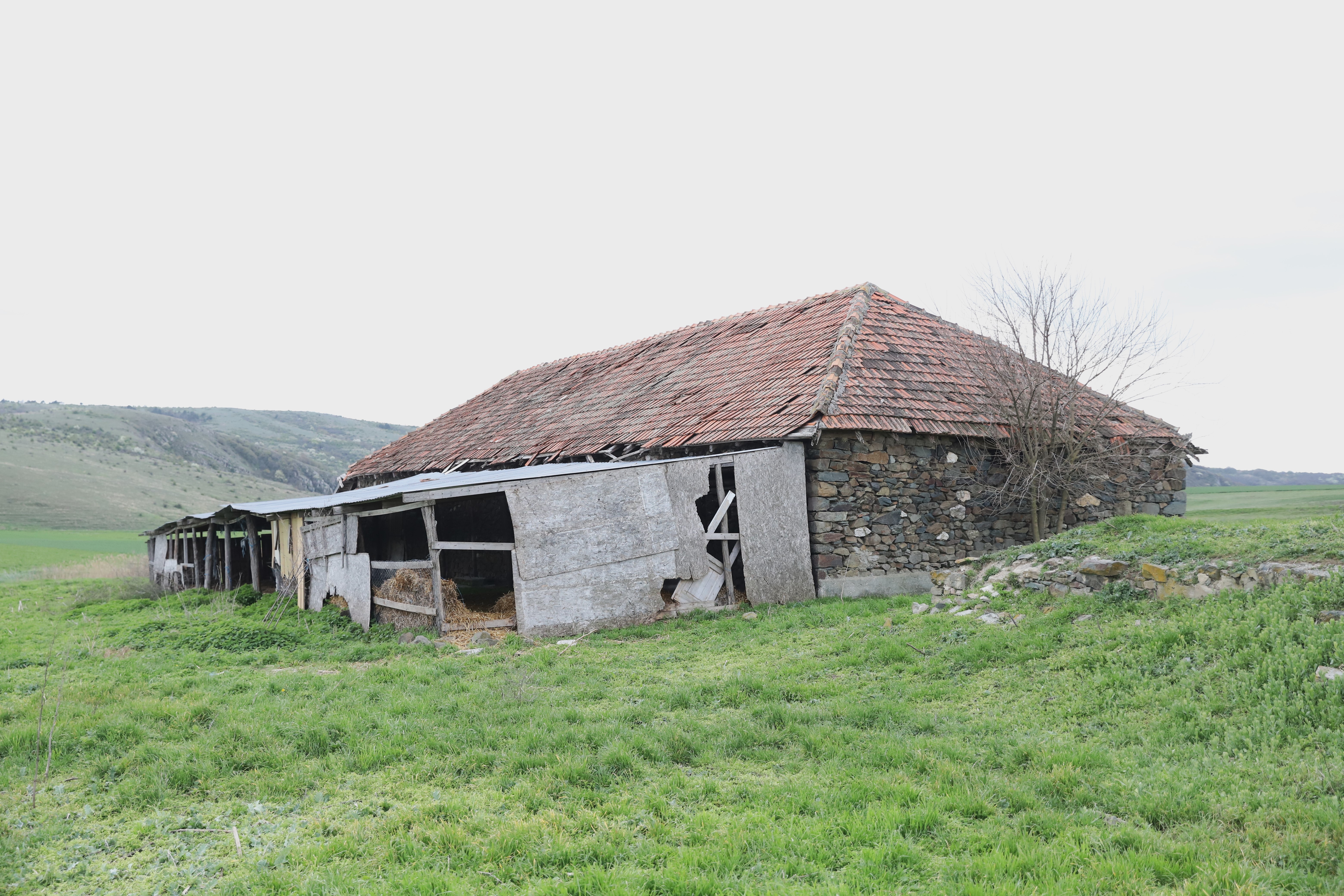 Doar șase oameni mai trăiesc în satul din Dobrogea unde s-a născut Sfântul Ioan Casian, care a zidit două mănăstiri la Marsilia