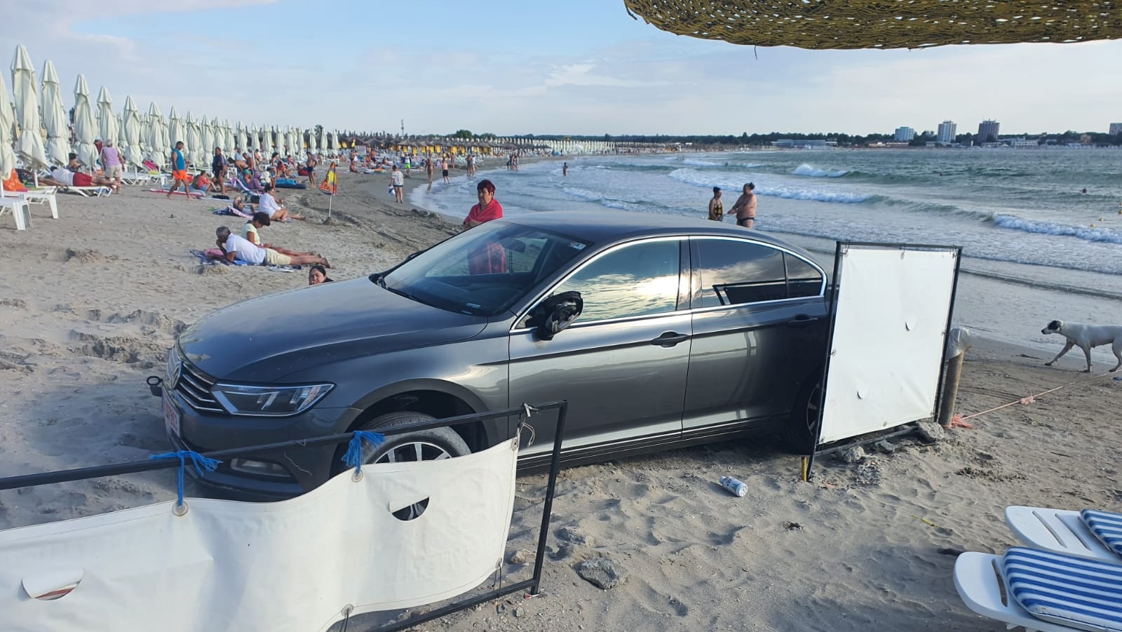 Și-a parcat mașina pe plaja din Saturn, iar acum polițiștii cer arestarea lui. Prins de 4 ori fără permis în ultimele zile!